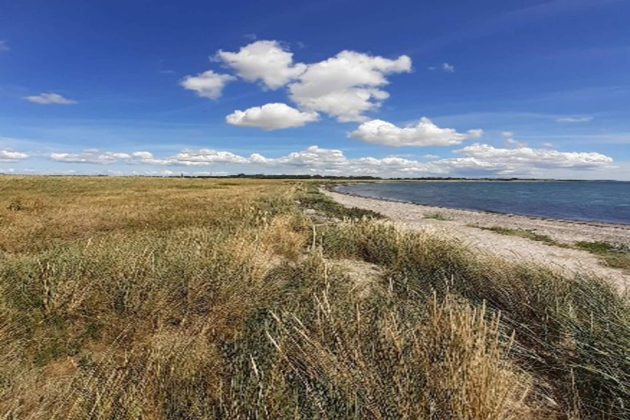 6 persoons vakantie huis in Hals-By Traum-Buitenlucht