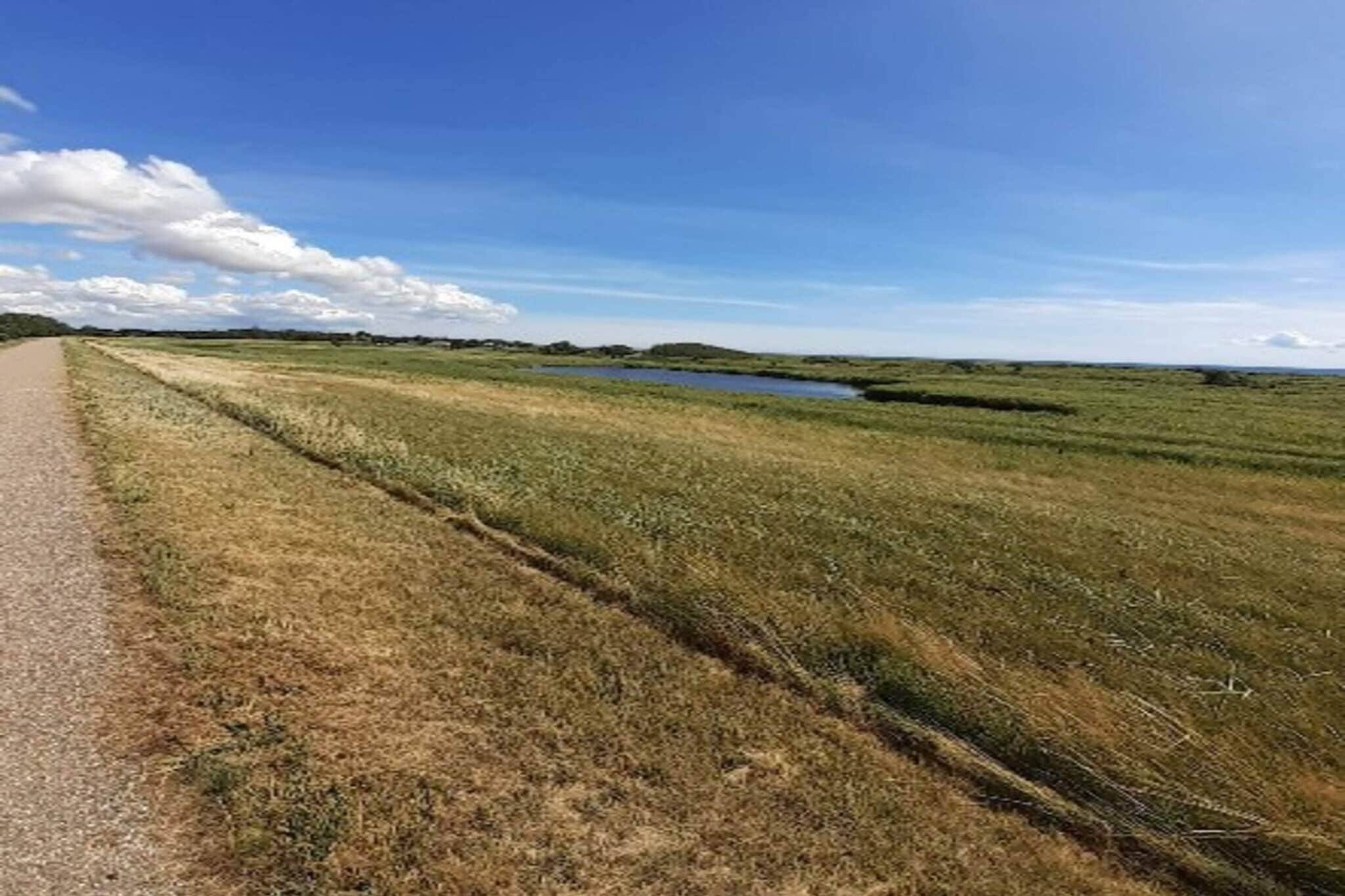 6 persoons vakantie huis in Hals-By Traum-Buitenlucht