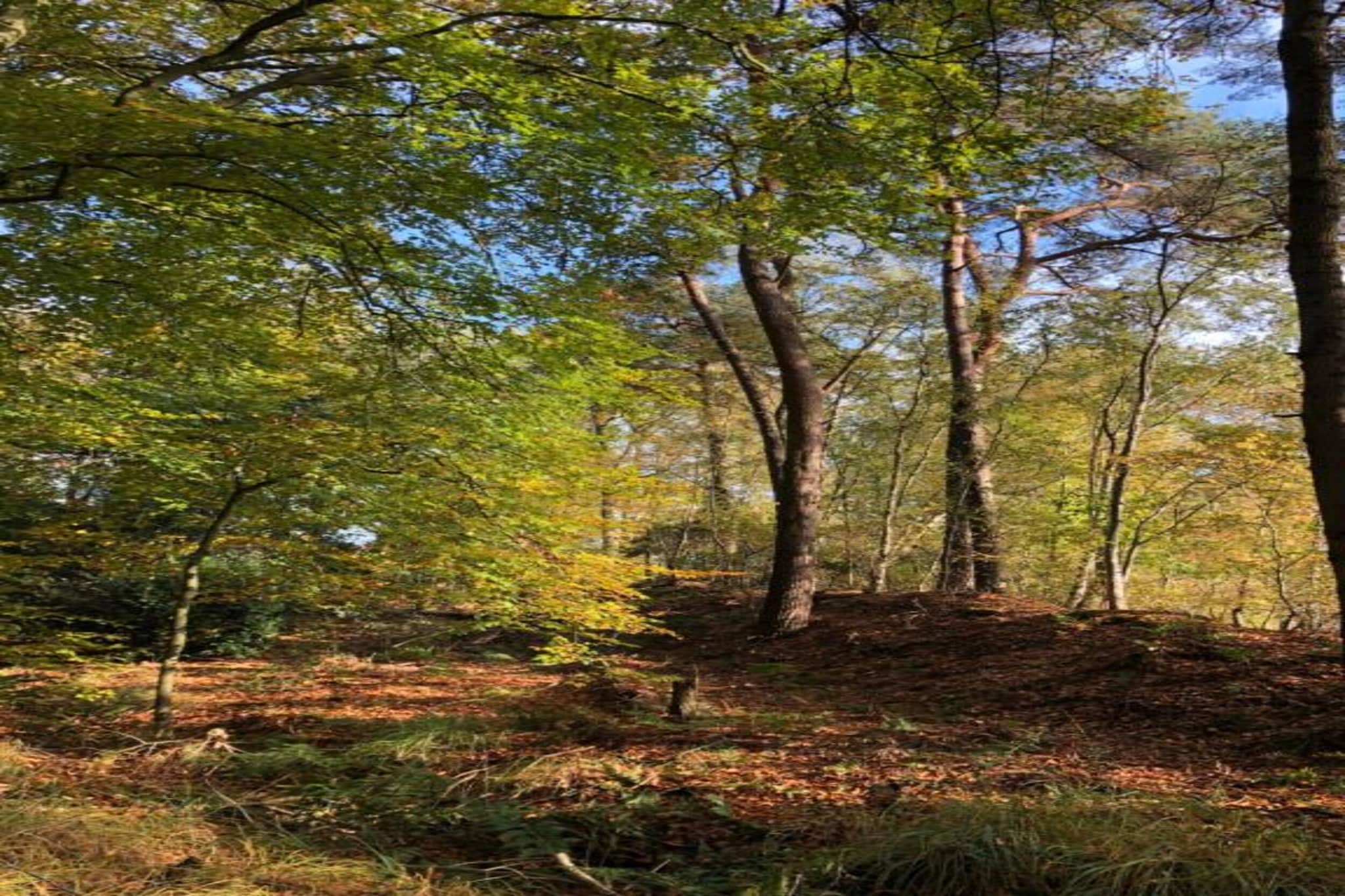 Recreatiepark Idskenhuizen 1-Areas summer 20km