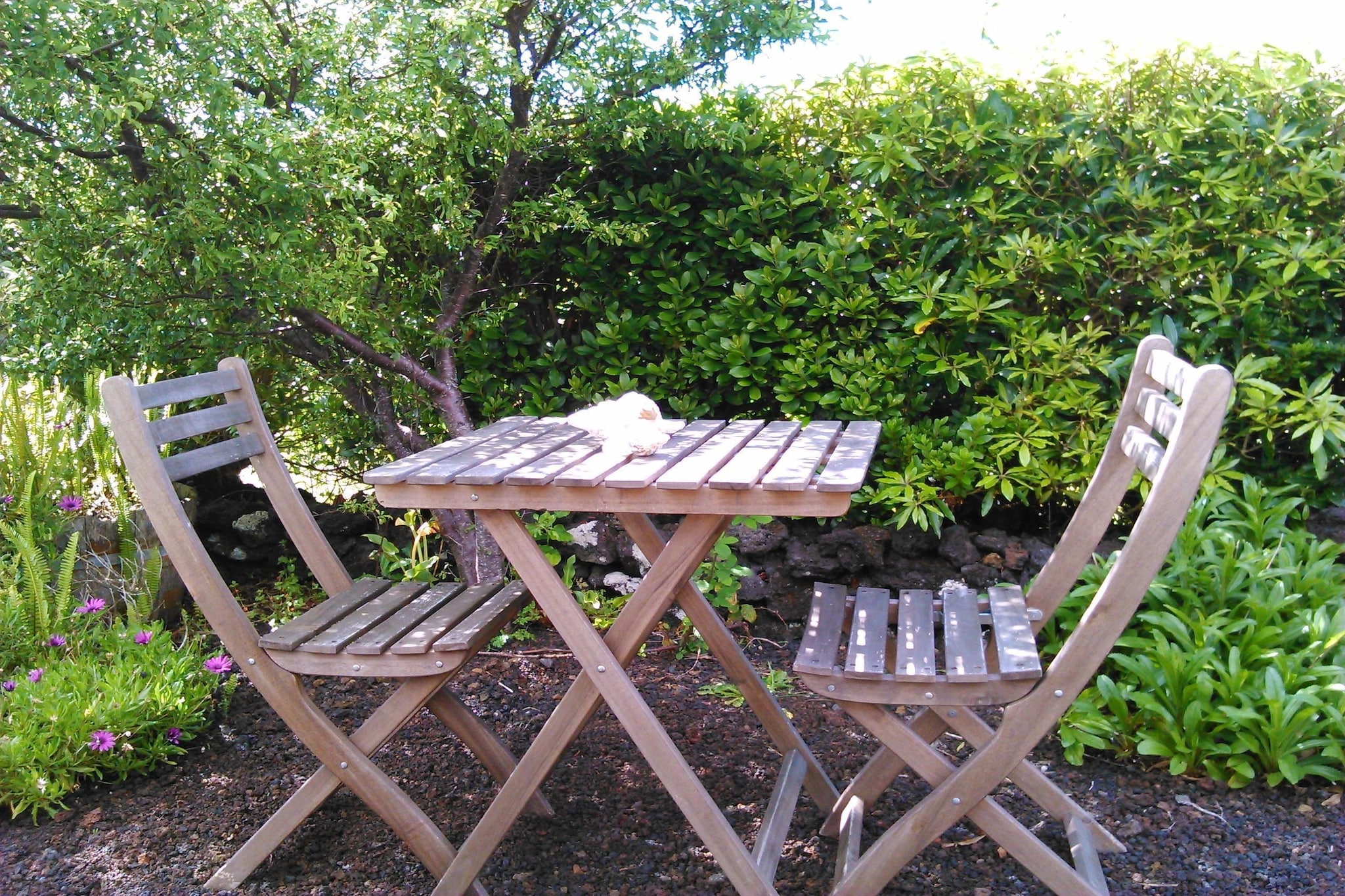 Ground floor: (Kitchen(hob, electric kettle, toaster, microwave, fridge, washing machine), bathroom(shower, toilet))\n\nOn the 1st floor: (Living/bed room(acces via outside stairway)(single bed, TV, fireplace), single bed)\n\ngarden, garden furniture, sun loungers, parking