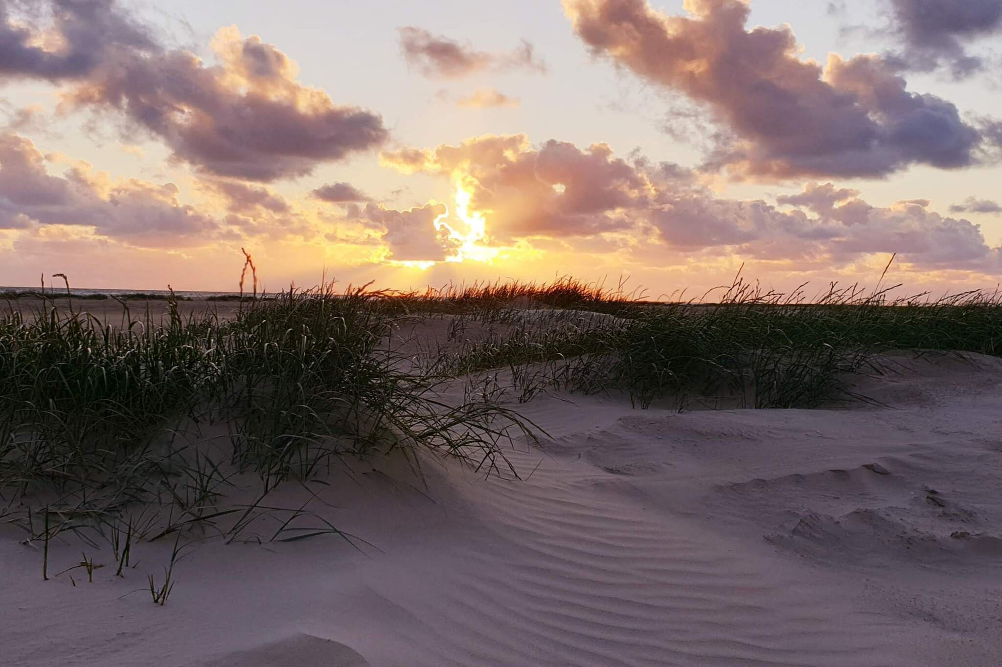 Maison de vacances pour 4 a Fanø-By Traum-Non tagué