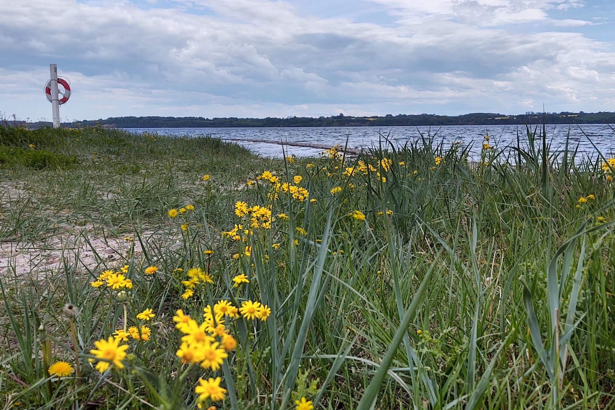 8 persoons vakantie huis in Aabenraa-By Traum-Waterzicht