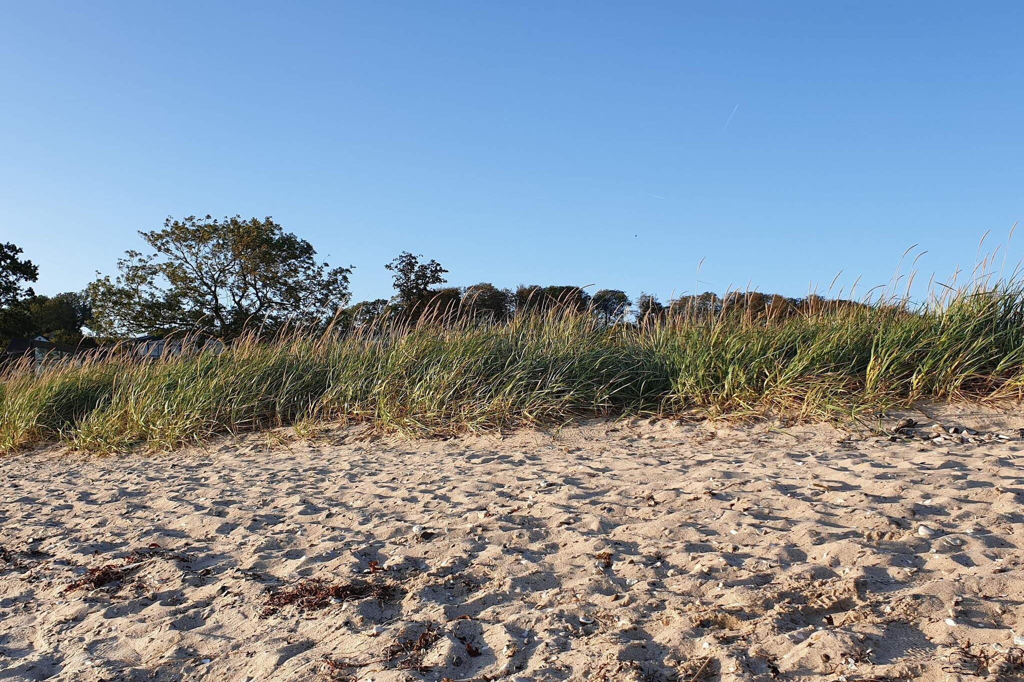 8 persoons vakantie huis in Aabenraa-By Traum-Waterzicht