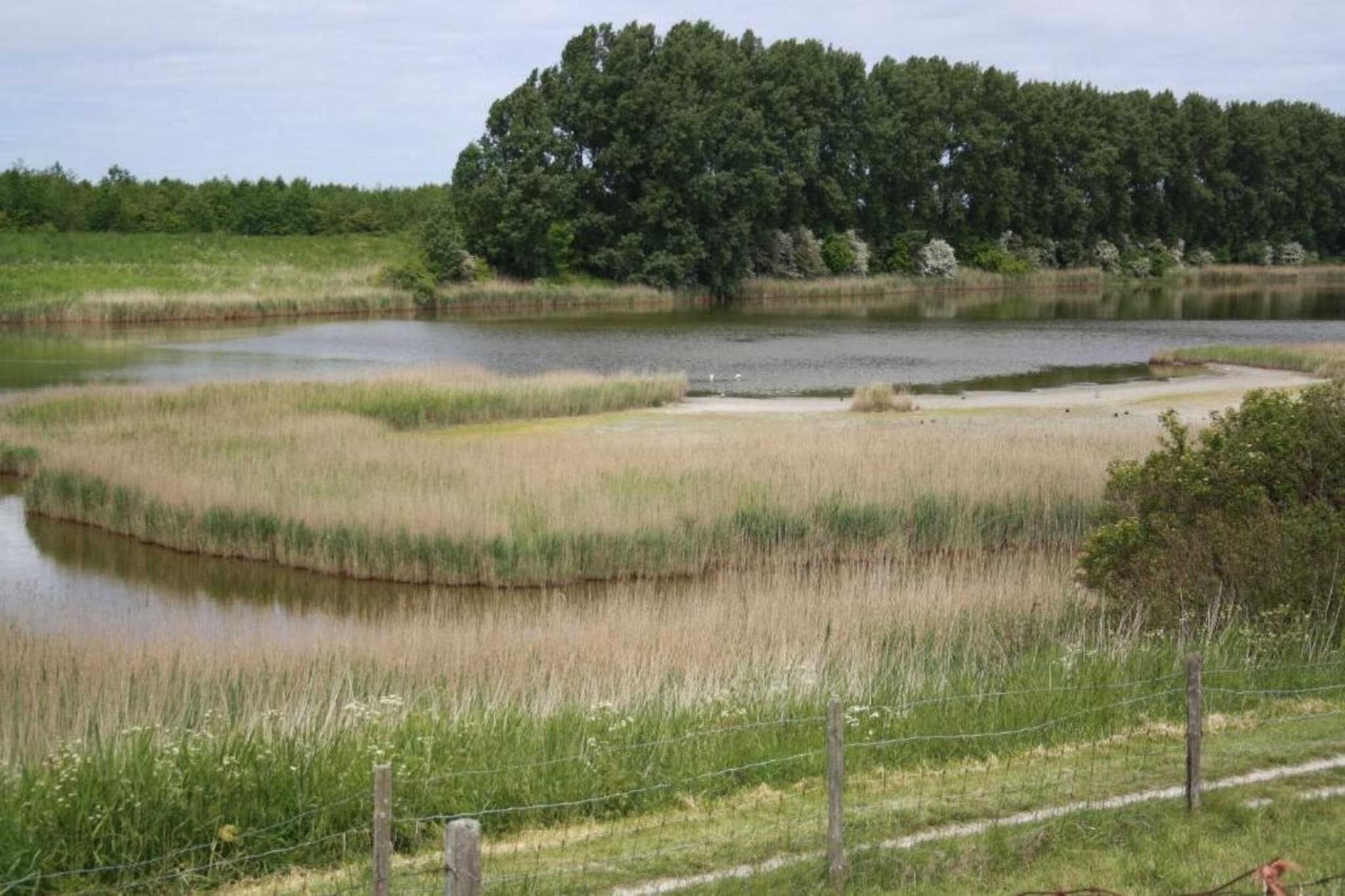 De Scholekster Huis Nr 29-Gebieden zomer 20km