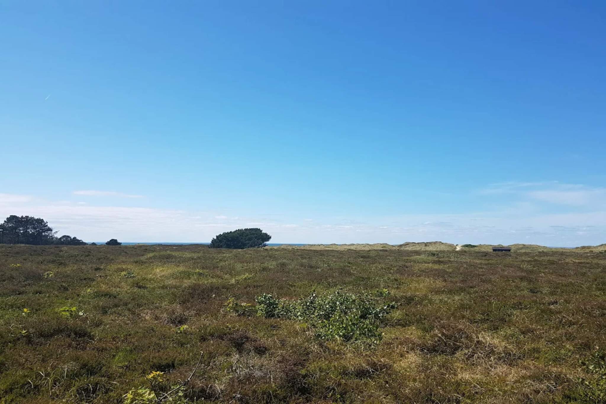 5 persoons vakantie huis in Læsø