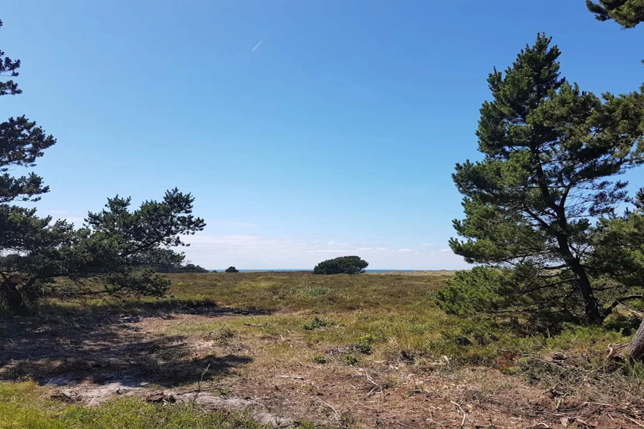 5 persoons vakantie huis in Læsø-Niet-getagd
