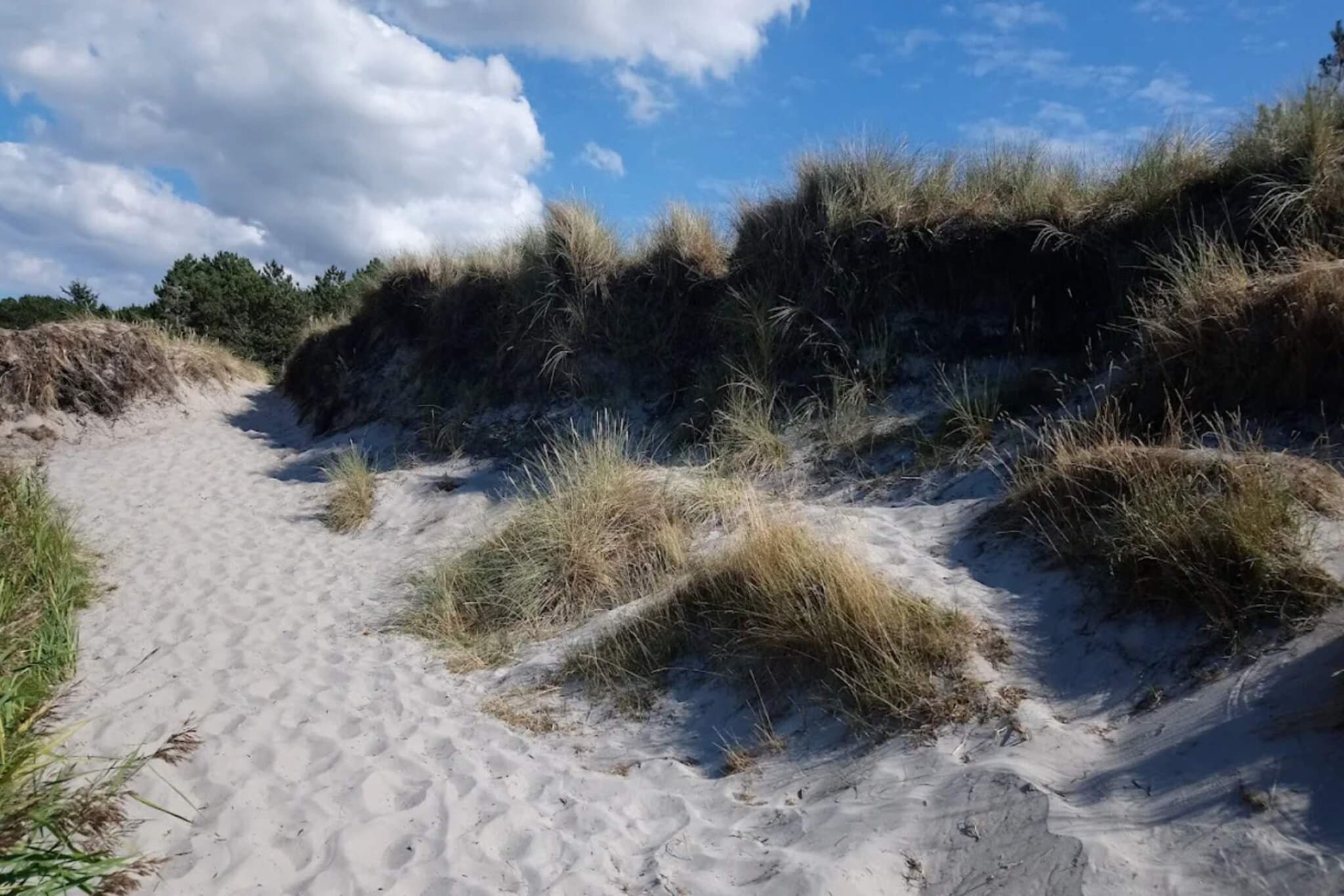 5 persoons vakantie huis in Læsø-Niet-getagd