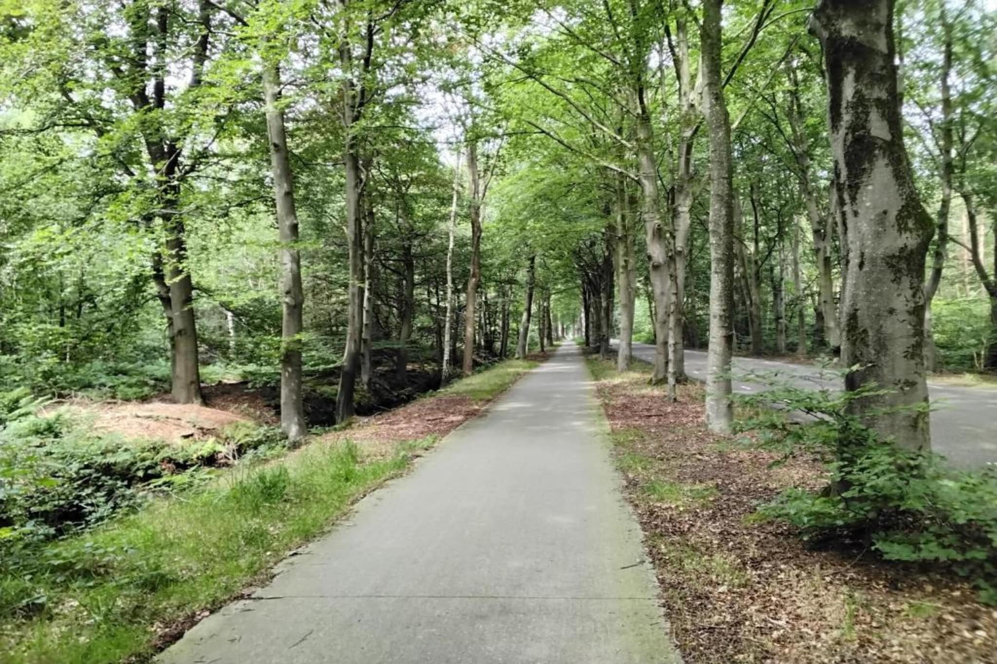 Recreatiepark Idskenhuizen 6-Gebieden zomer 20km
