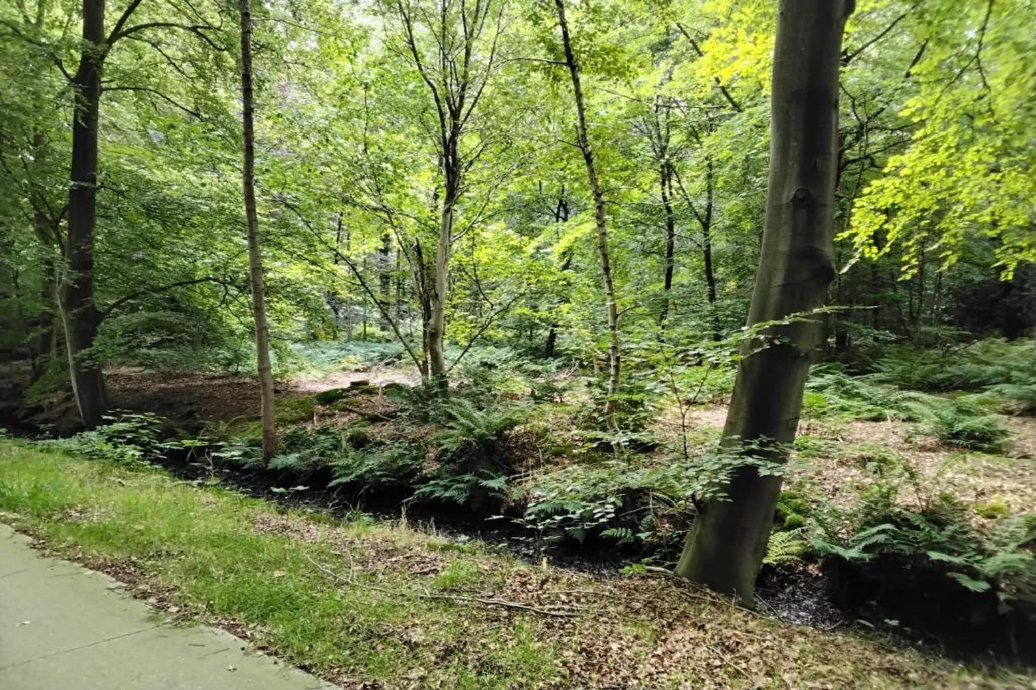 Recreatiepark Idskenhuizen 6-Gebieden zomer 20km
