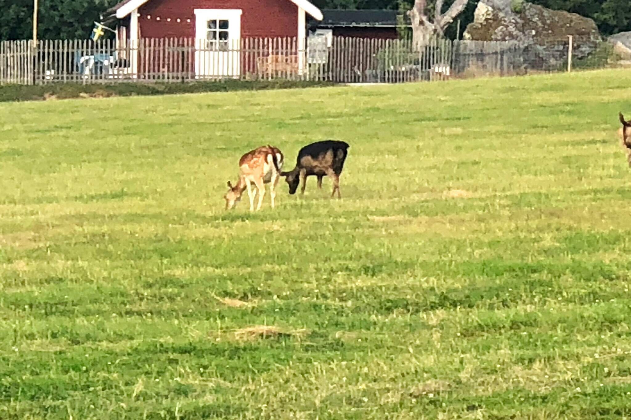 4 person holiday home in Högsjö-By Traum