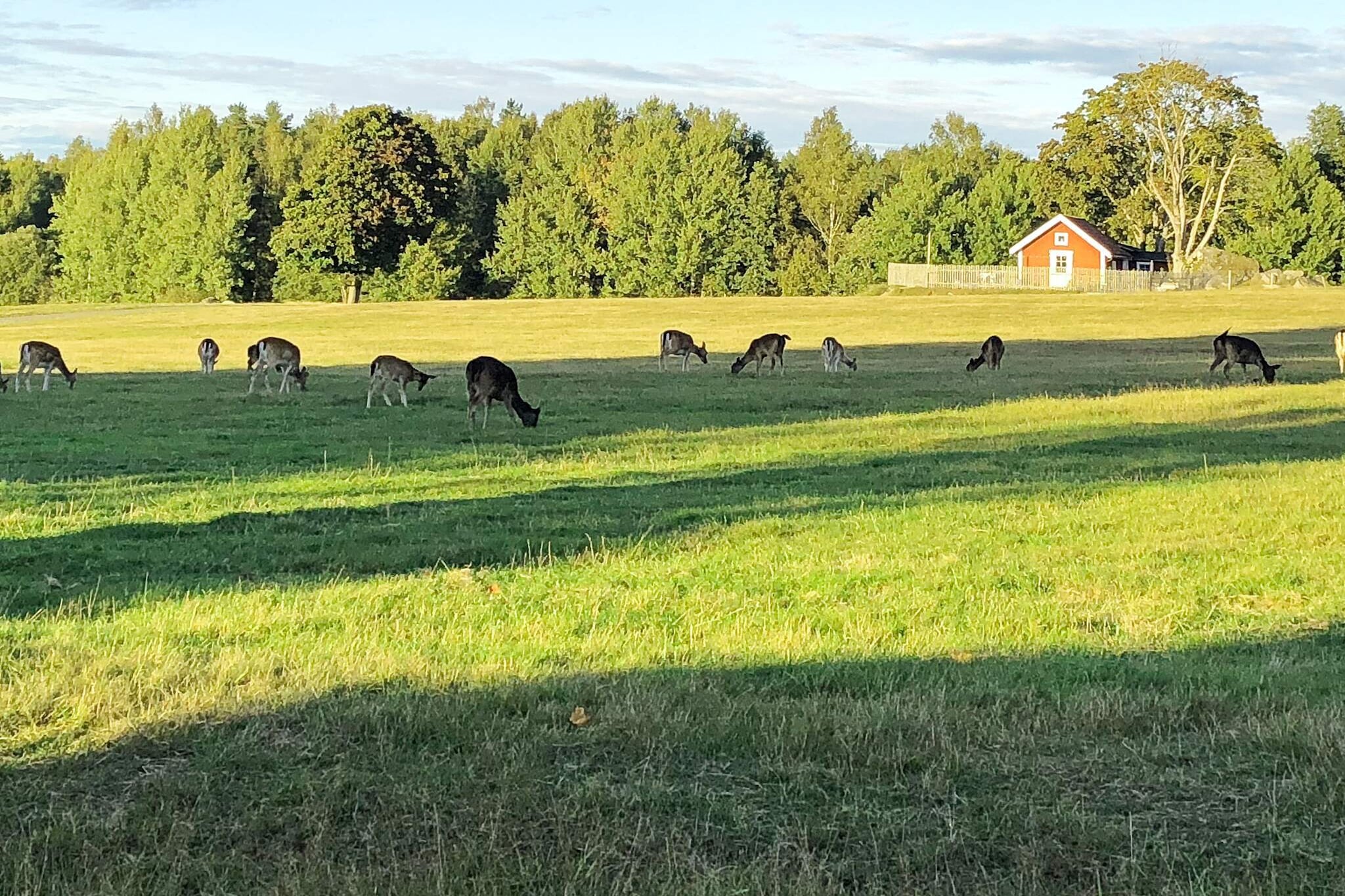 open kitchen(cooker(electric), hood, coffee machine, microwave, dishwasher, fridge-freezer, high chair, water from well), bedroom(double bed), bedroom(double folding bed), bathroom(tumble dryer, washbasin, shower, washing machine), balcony, garden furniture, parking, geothermal energy, air to water heatpump