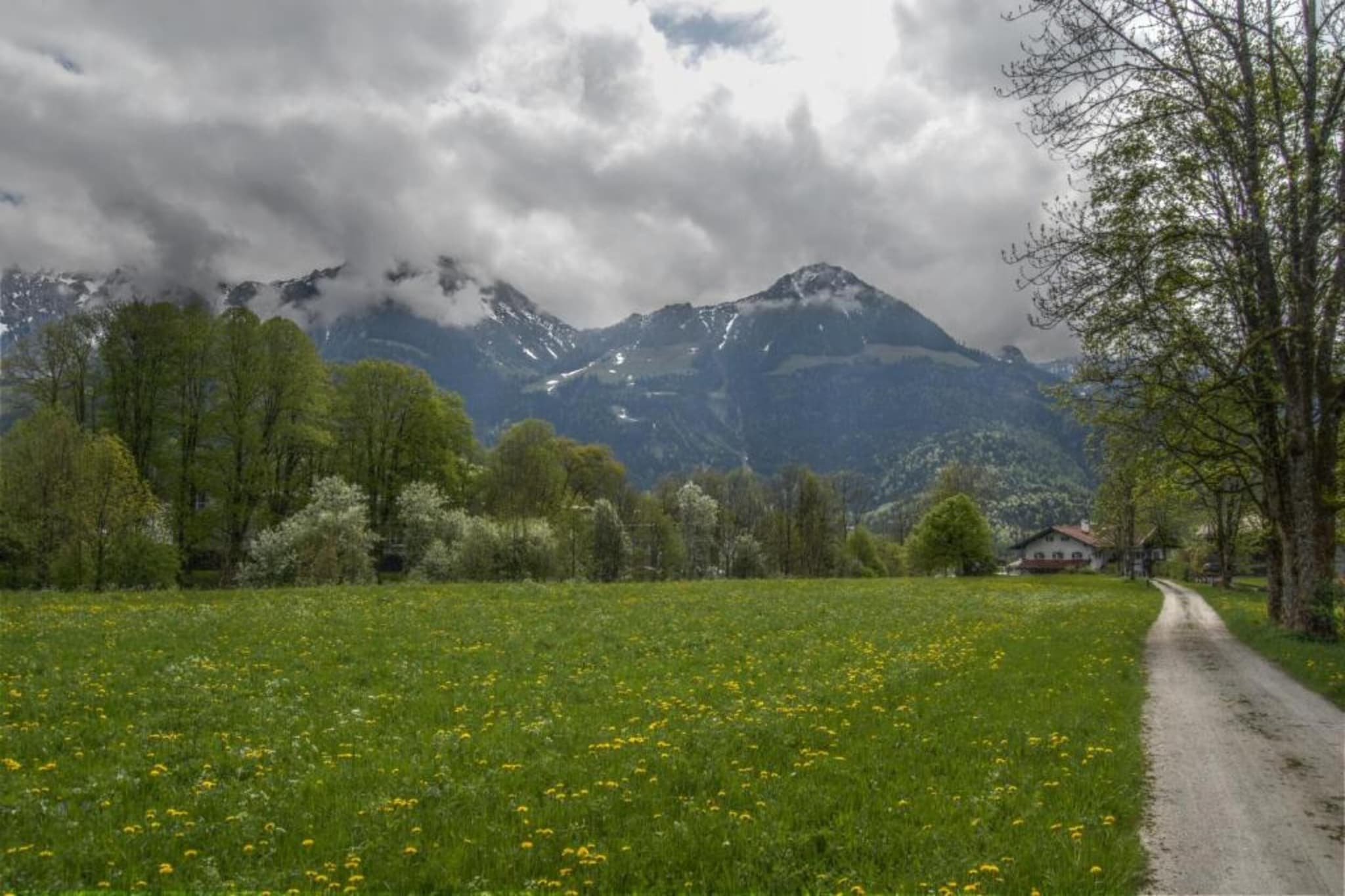 Toni Apartment 1- 75 qm-Gebieden zomer 20km