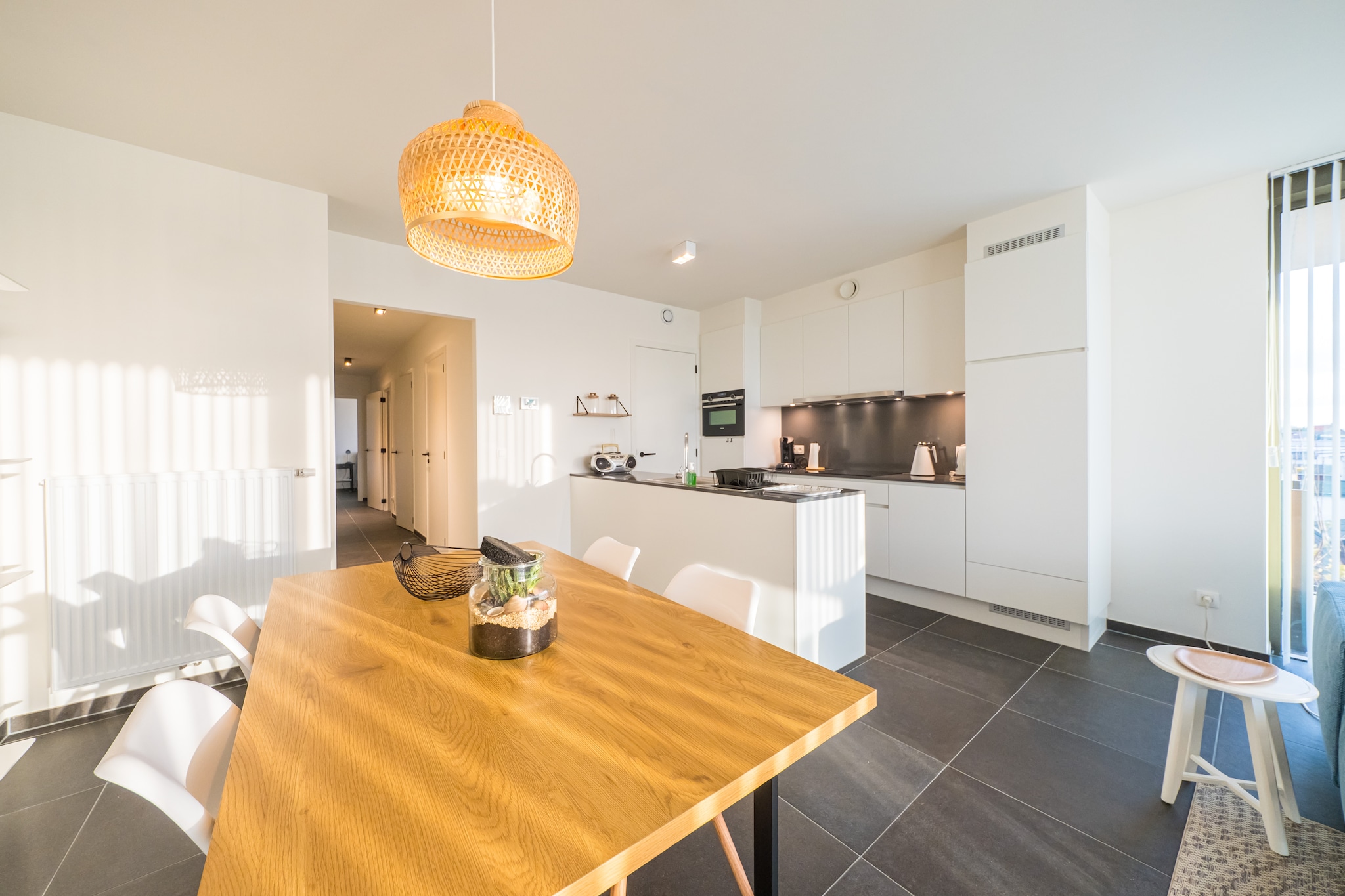 Spacious apartment with sunny terrace