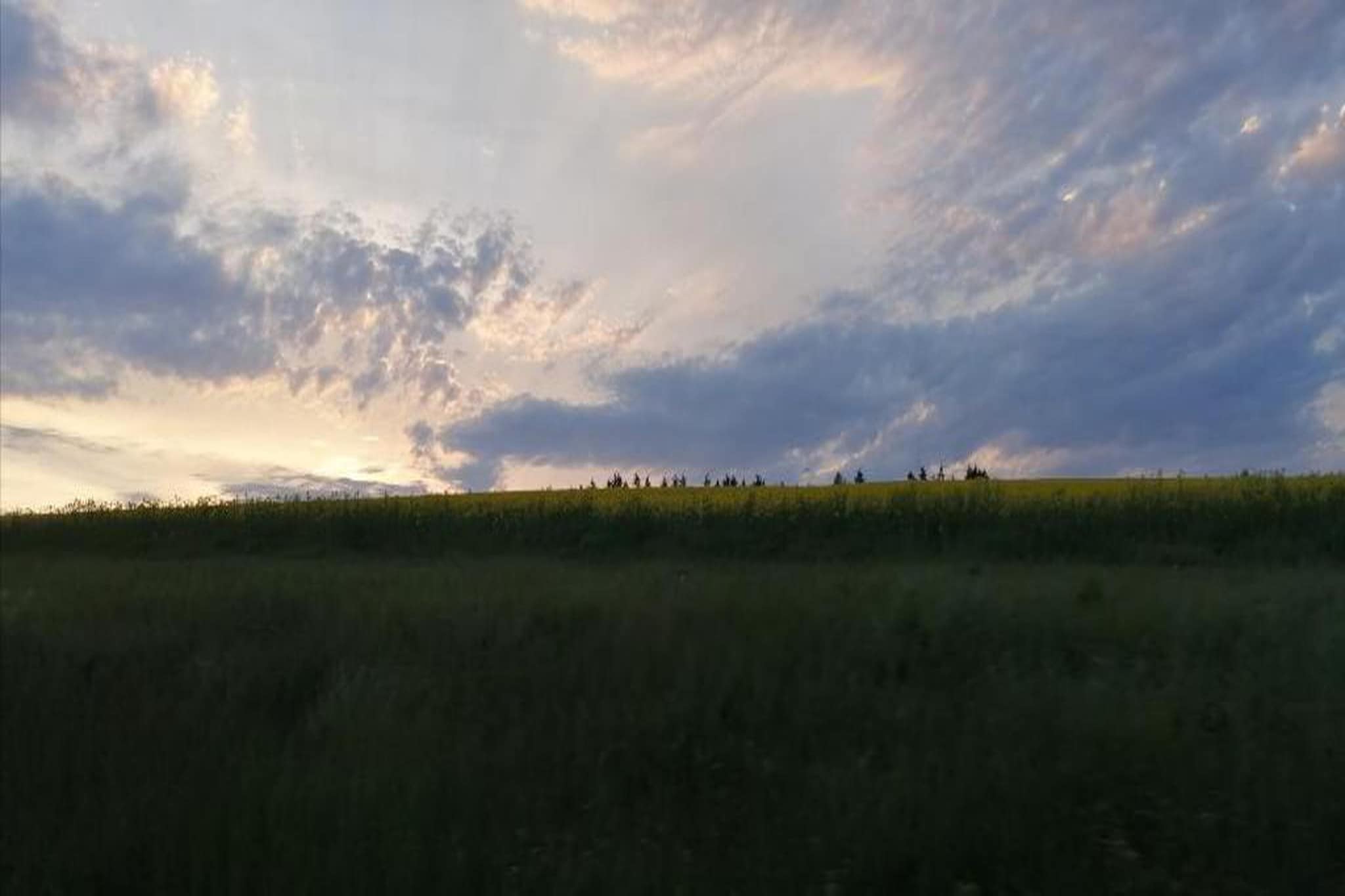 Ard' View-Areas summer 20km