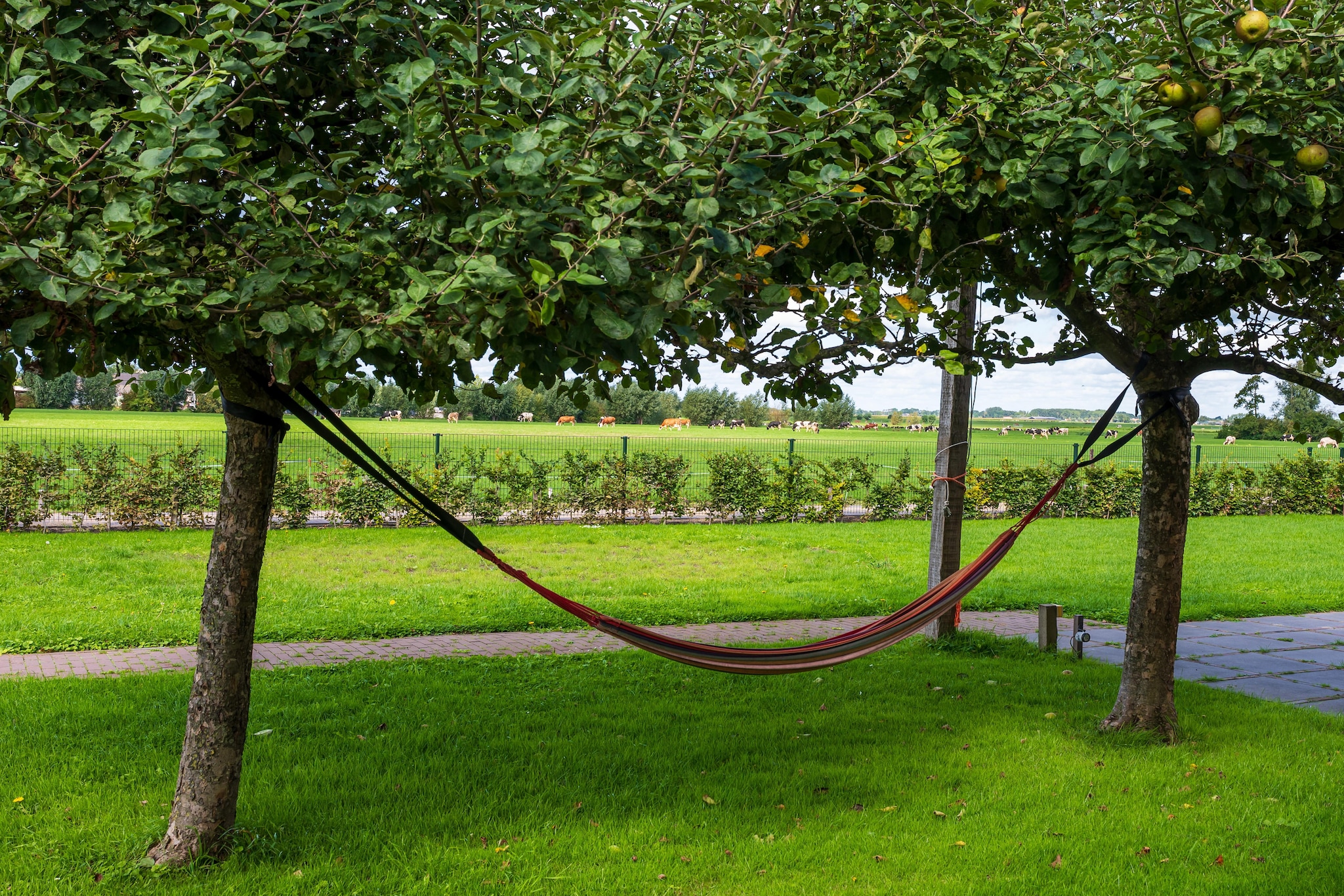 The Old Farmhouse - Tuinen zomer