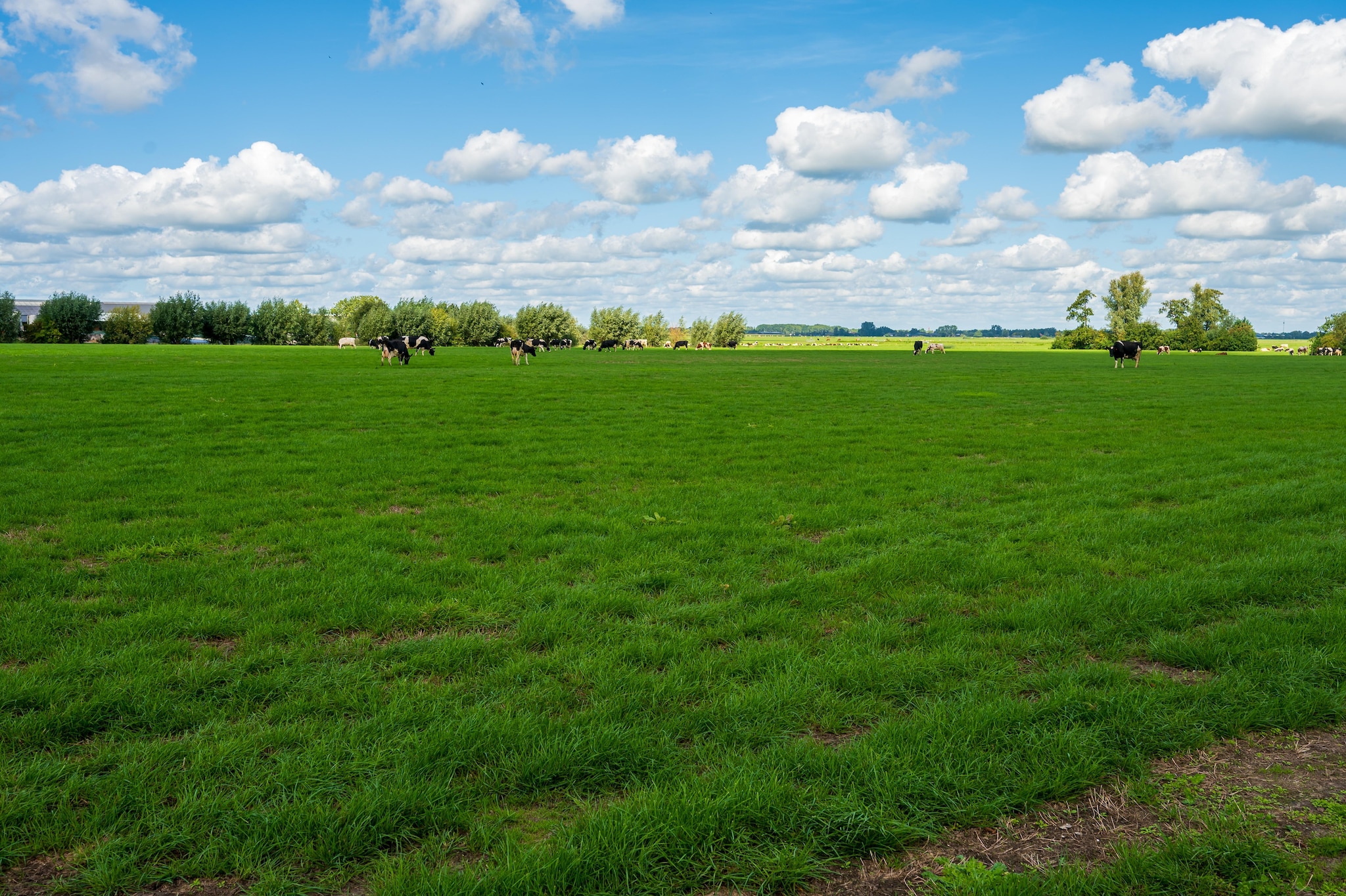 The Old Farmhouse - Tuinen zomer