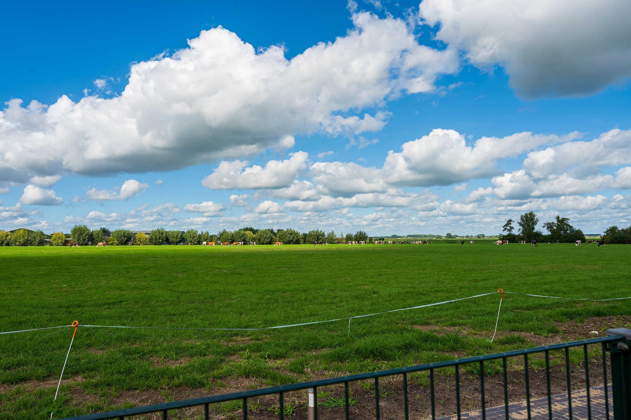The Old Farmhouse - Tuinen zomer