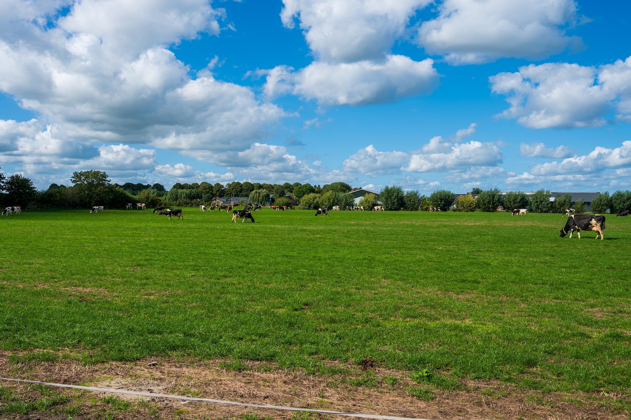 The Old Farmhouse - Tuinen zomer