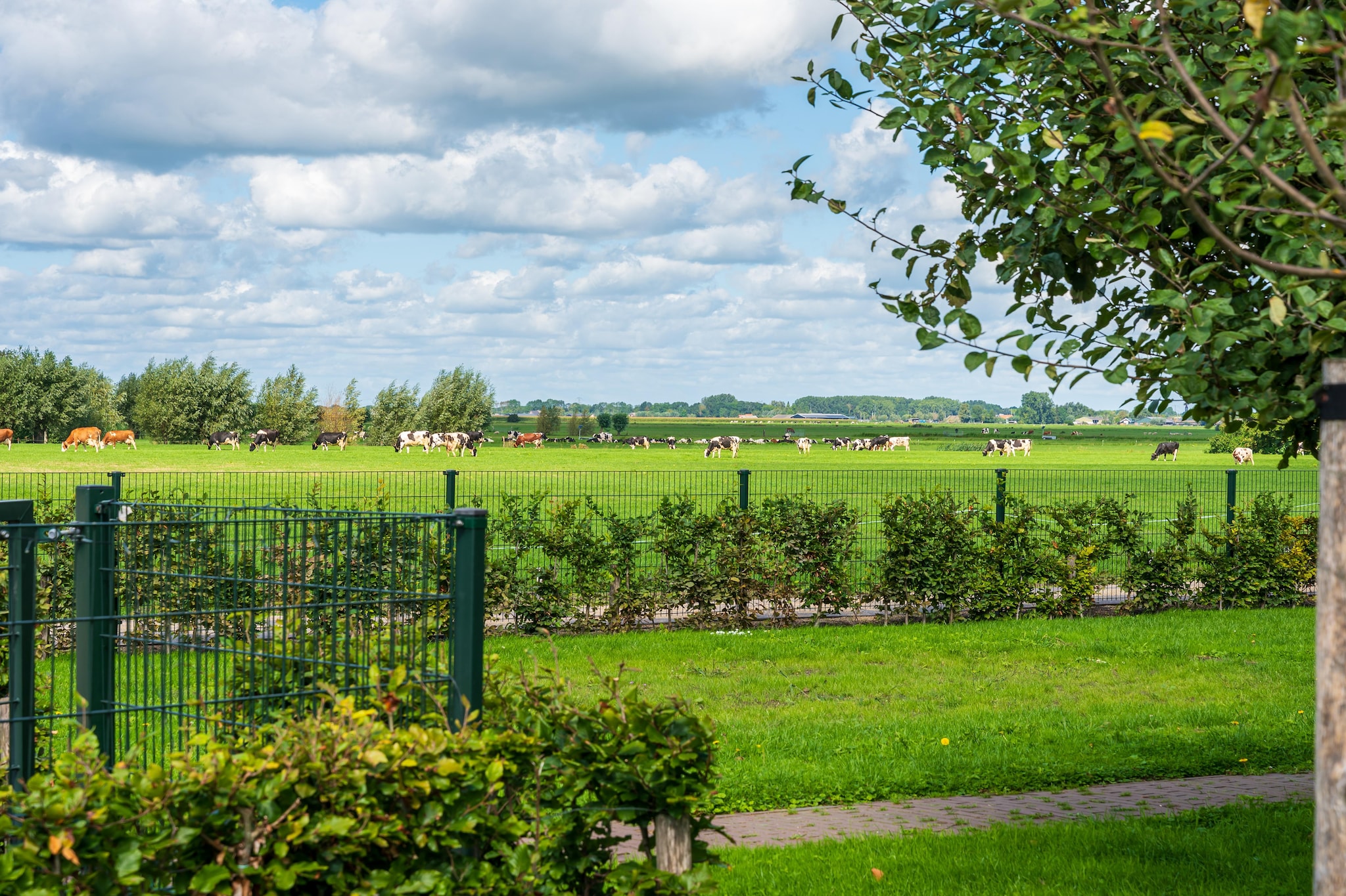 The Old Farmhouse - Tuinen zomer