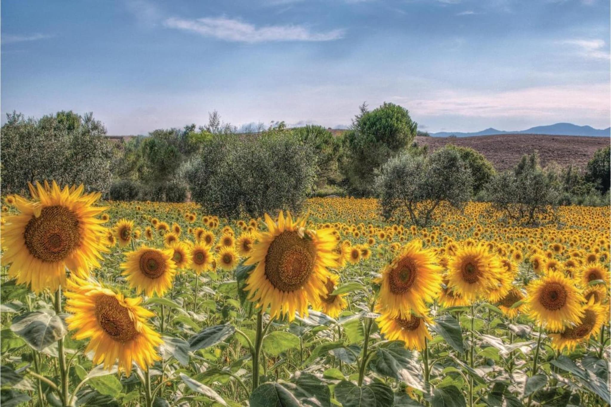 CASA ROSSA 8 pax-Gebiete Sommer 20 km