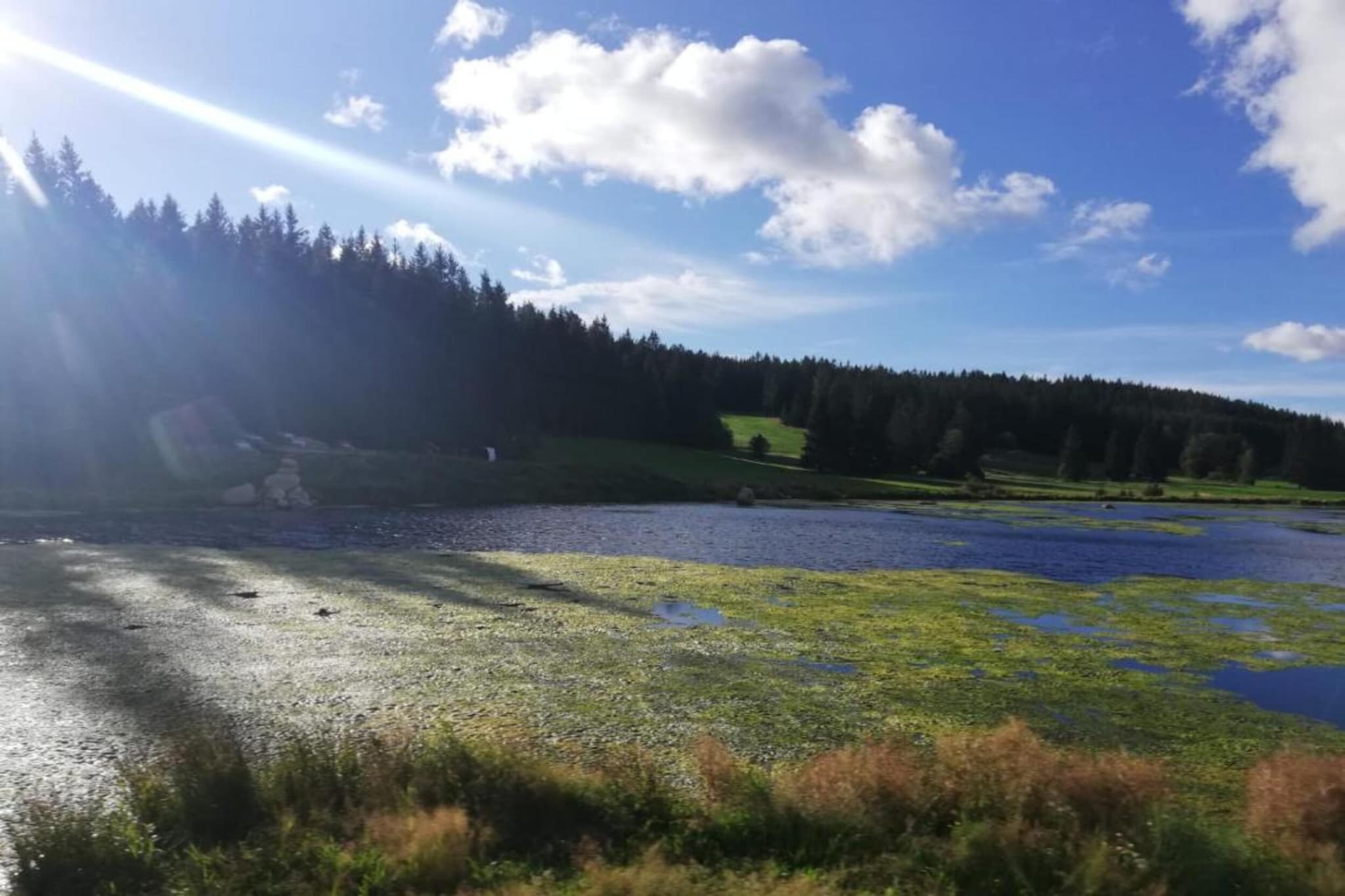 Agnes-Gebieden zomer 20km