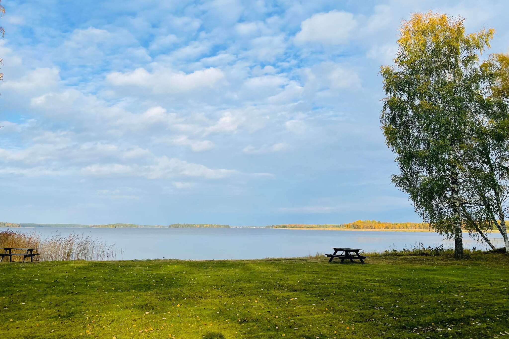 Kitchen(cooker(electric), cooker(2 ring stoves), coffee machine, oven, microwave, dishwasher, fridge-freezer, high chair, water from well), Living/bed room, bedroom(double bed), bedroom(double bed), bathroom(washbasin, shower, toilet, washing machine), heating(electric), air to air heatpump