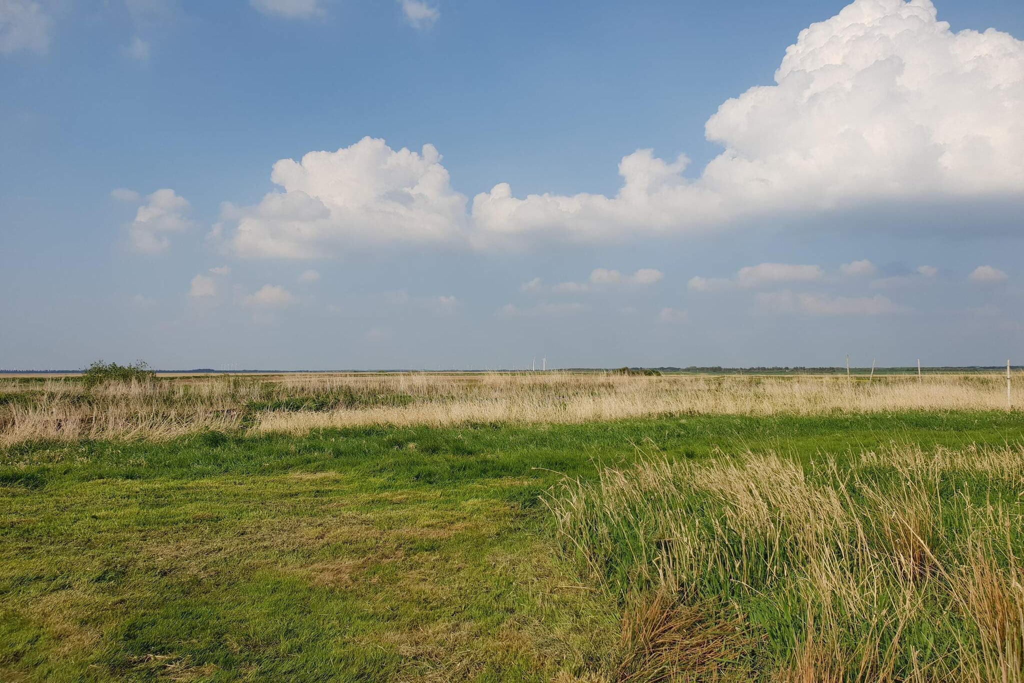 Idyllisches Naturrefugium -- By Traum Ferienwohnungen - Nicht zugeordnet