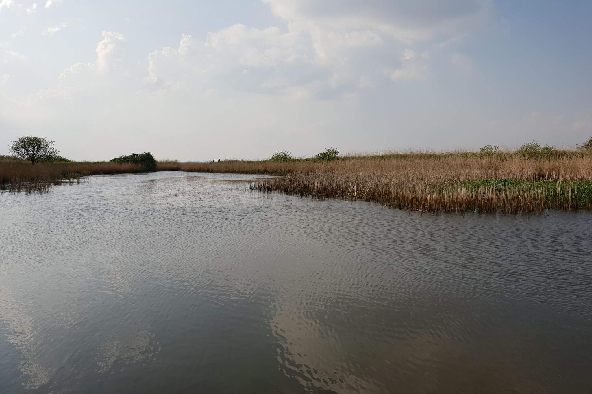 Idyllisches Naturrefugium -- By Traum Ferienwohnungen - Wasserblick