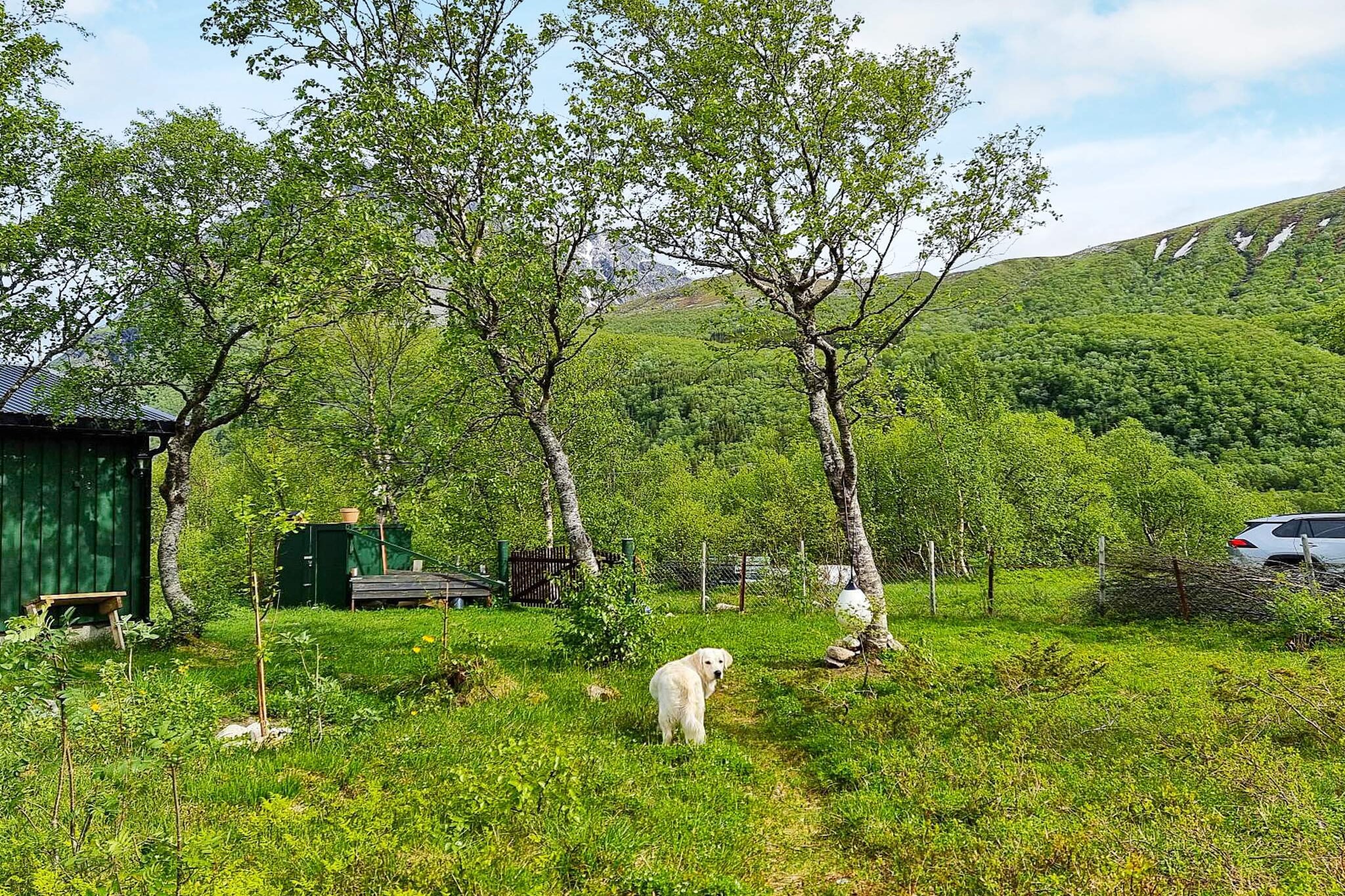 Annex(6 m2): (2x bunk bed)\n\nInternet Access DSL, Kitchen(7 m2)(cooker(electric), hood, coffee machine(filter), waffle iron, microwave, dishwasher, fridge, freezer(100-139L), washing machine), Living/bed room(20 m2)(double folding bed, TV(satellite, norvegian TV channels ), radio), bedroom(9 m2)(double bed), bathroom(floor heating)(shower, toilet), heating(electric), terrace(12 m2), garden furniture, BBQ, parking