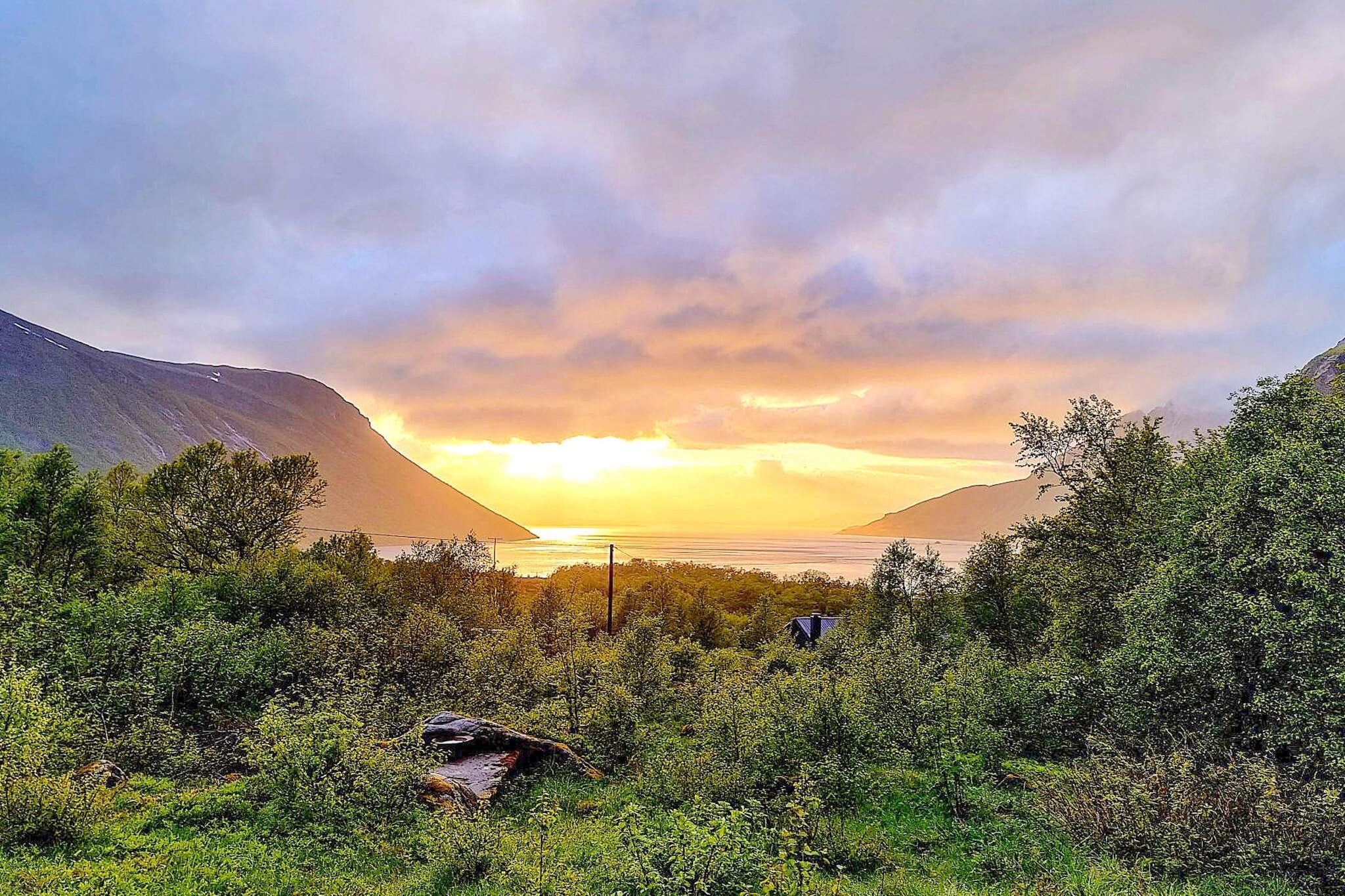 Nice cottage in scenic and secluded surroundings near the village of Brattland in Helgeland. Great for hiking in the forest and mountains. Good sea fishing and several fish-rich lakes in the area. Pets allowed. The cabin is furnished in wilderness style. One bedroom with a double bed and 2 sleeping places on the sofa in the living room. Two bunk beds in the annex next to the cabin. Free internet for surfing. Wood-burning stove in the living room that provides good heat on cold days. From the cabin and the terrace there is a view of the fjord and the island of Aldra. Here you can sit on the terrace and enjoy the beautiful sunset and see waterfalls in the mountains. Garden grill available. A large wilderness area with forest and mountains invites wonderful walks for the whole family. There are several fishing lakes here where fishing can be done against the purchase of a fishing licence. Only 300 m from the sea with abundant sea fishing. Boat trips can be arranged with the veteran boat Havung, a 52-foot boat that can take up to 30 passengers. A coastal fortress from the Second World War is among the sights in the area. 1 km to Aldersundet marina, where an 18-foot boat with a 40 hp engine with echo sounder, GPS and chart plotter can be hired if available. Requests made during the stay. 800 m to grocery shop.