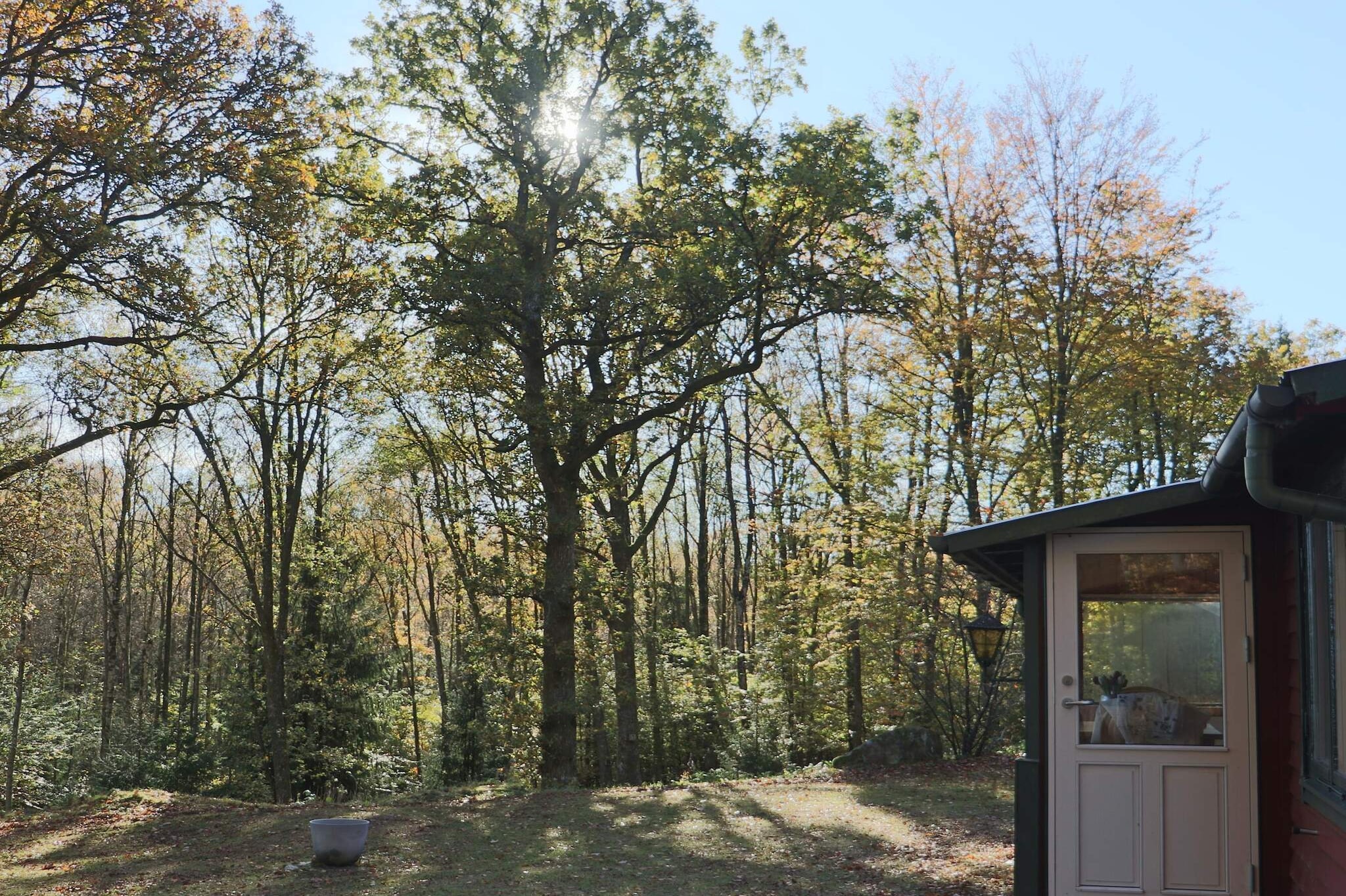Outdoor