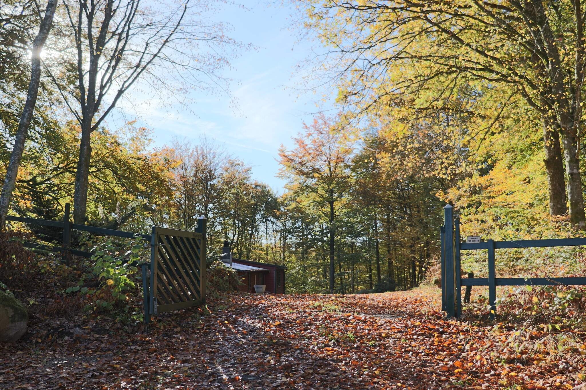 Maison de vacances pour 4 a SKÅNES-FAGERHULT - Extérieur