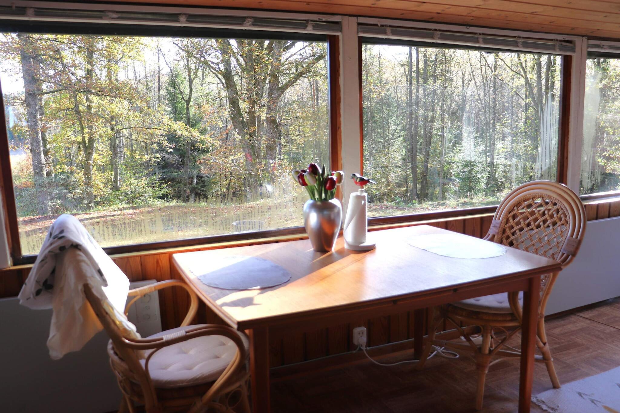Maison de vacances pour 4 a SKÅNES-FAGERHULT - Intérieur
