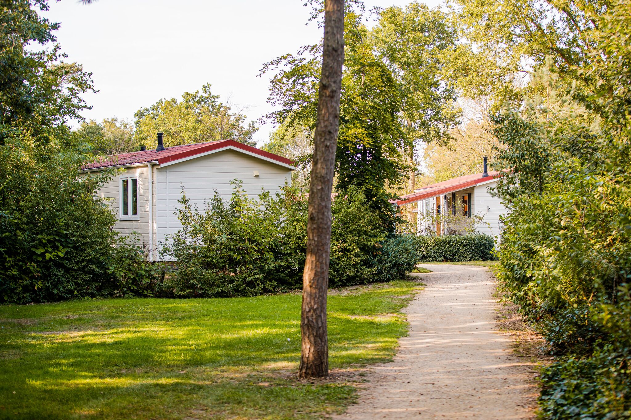 Chalet avec terrasse couverte dans un parc de vacances sur le Leukermeer