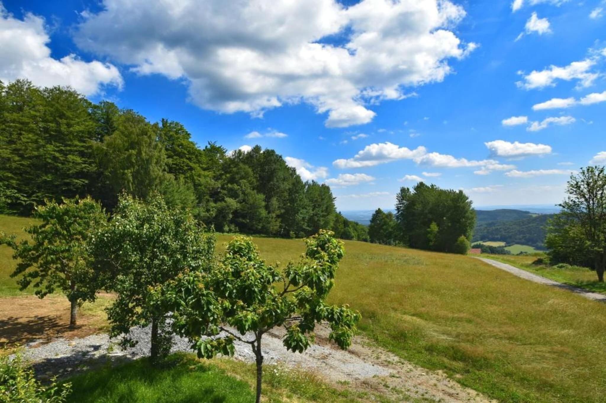 Holiday flats Haus am Wald Zenting-Wohnung für 4 Personen 56 qm-Zones d'été à 20 km