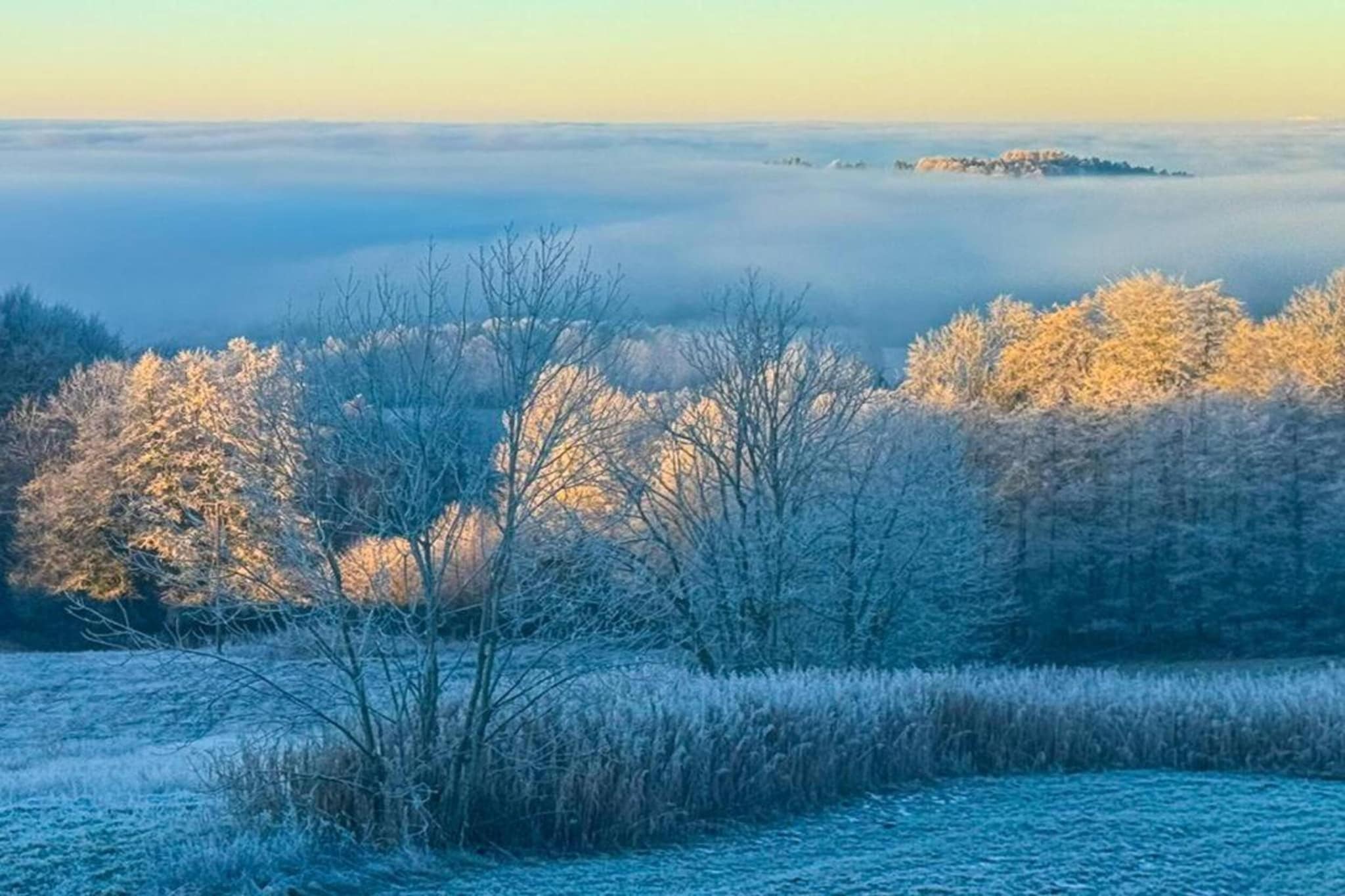Holiday flats Haus am Wald Zenting-Wohnung für 4 Personen 56 qm-Zone d'hiver à 20 km