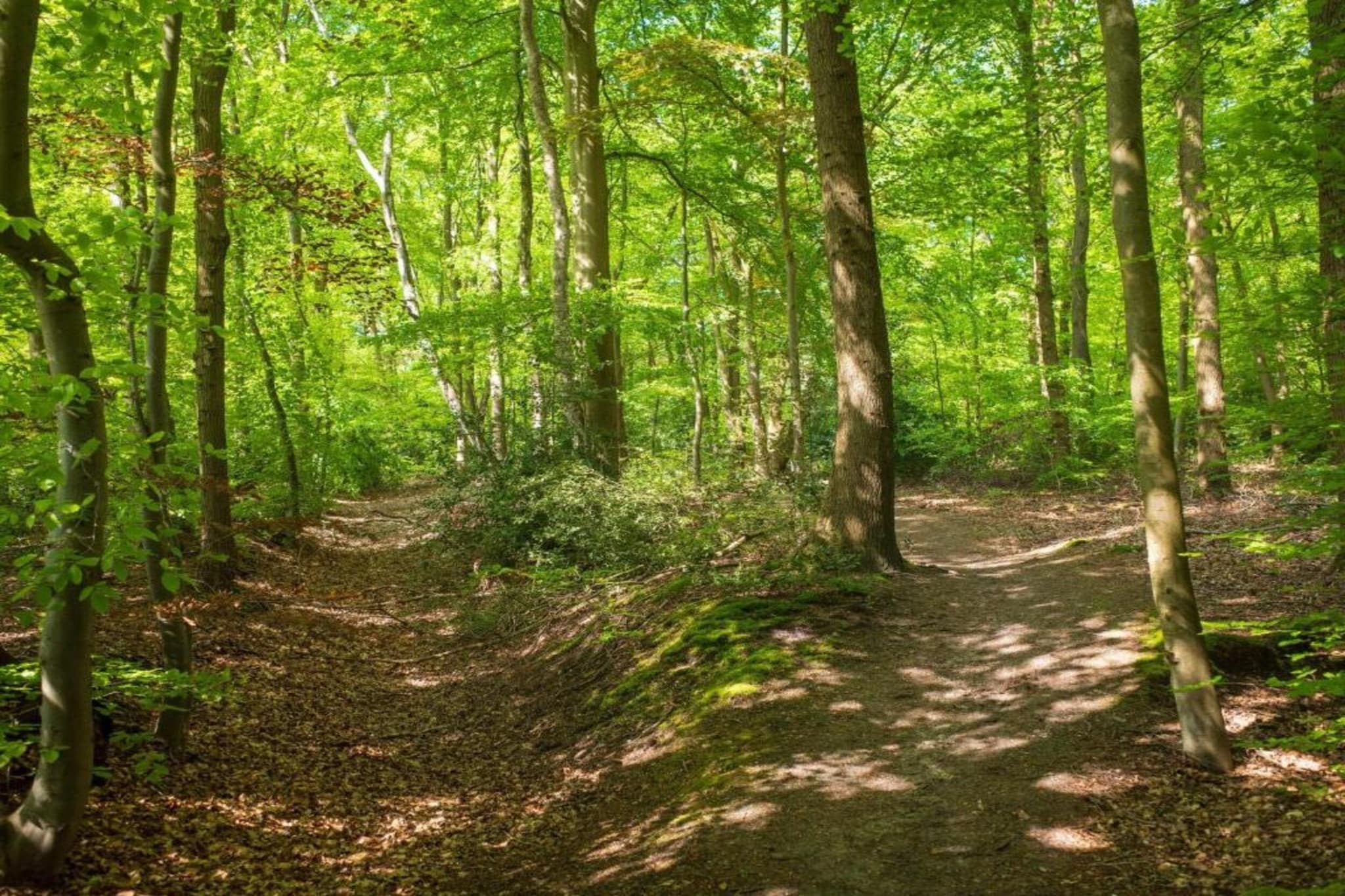 Be Chalet-Gebieden zomer 20km