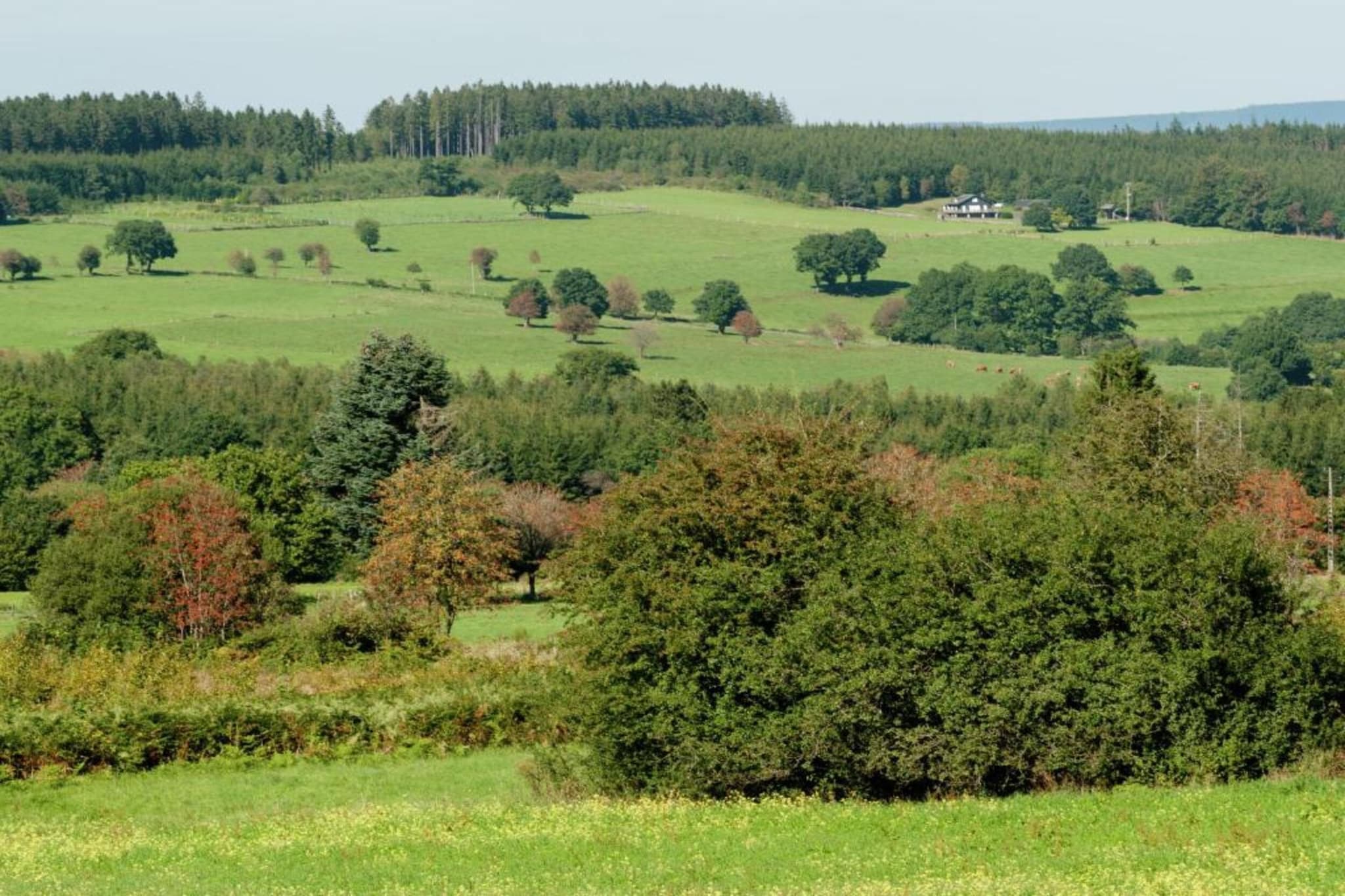 Le Fournil-Gebieden zomer 20km