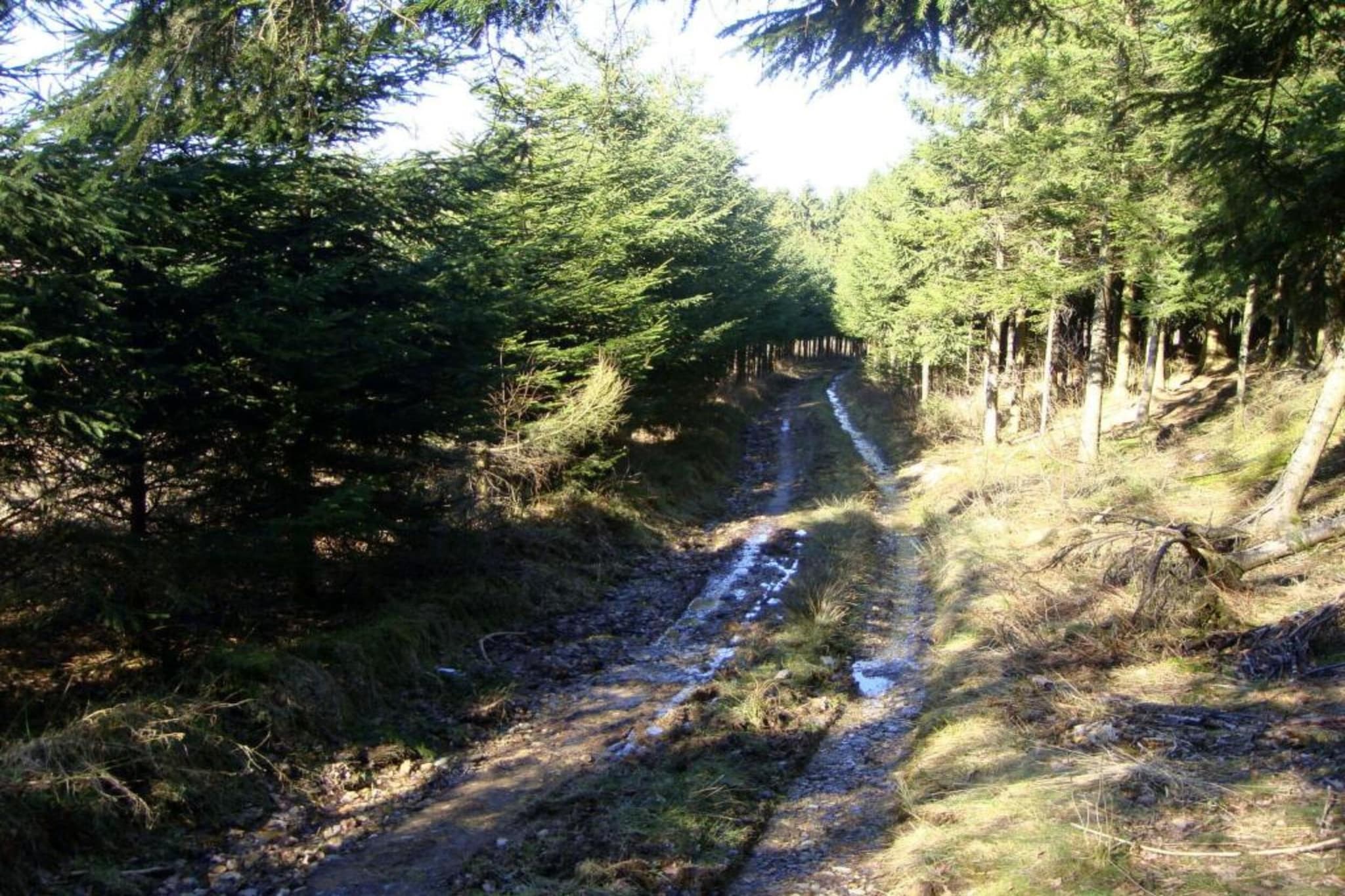 Le Fournil-Gebieden zomer 20km