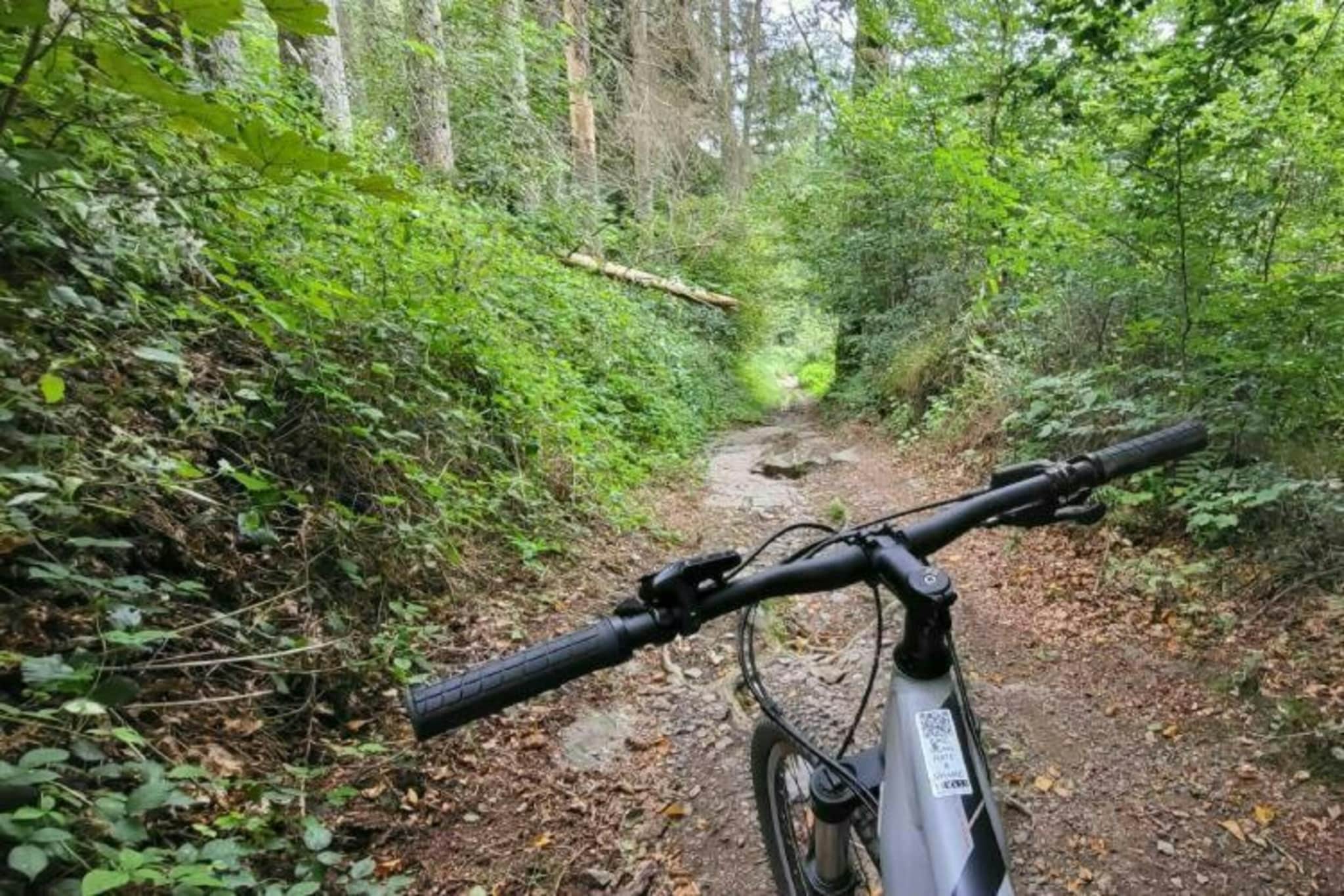 Au Petit Bonheur-Gebieden zomer 20km