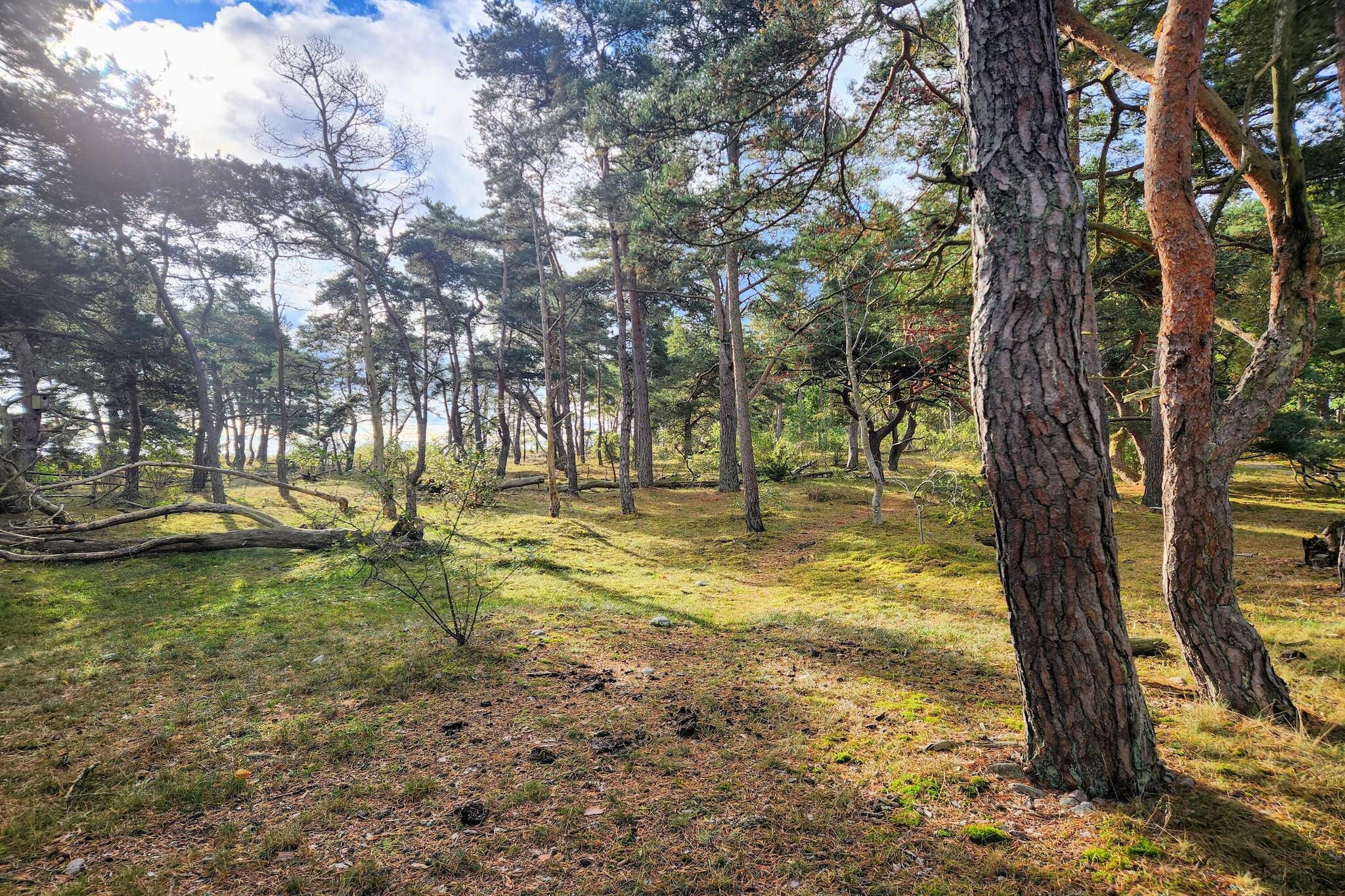 5 persoons vakantie huis in HALTORP-By Traum