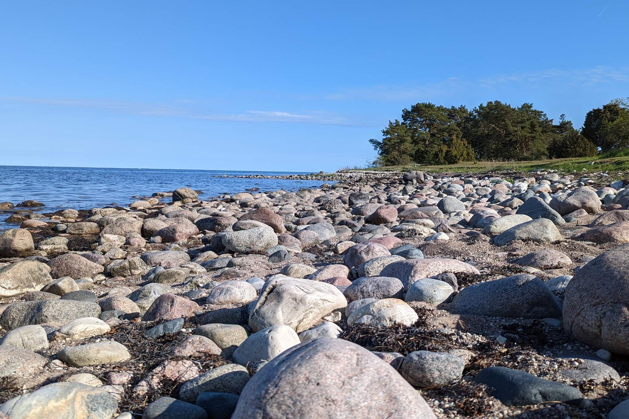 Water View