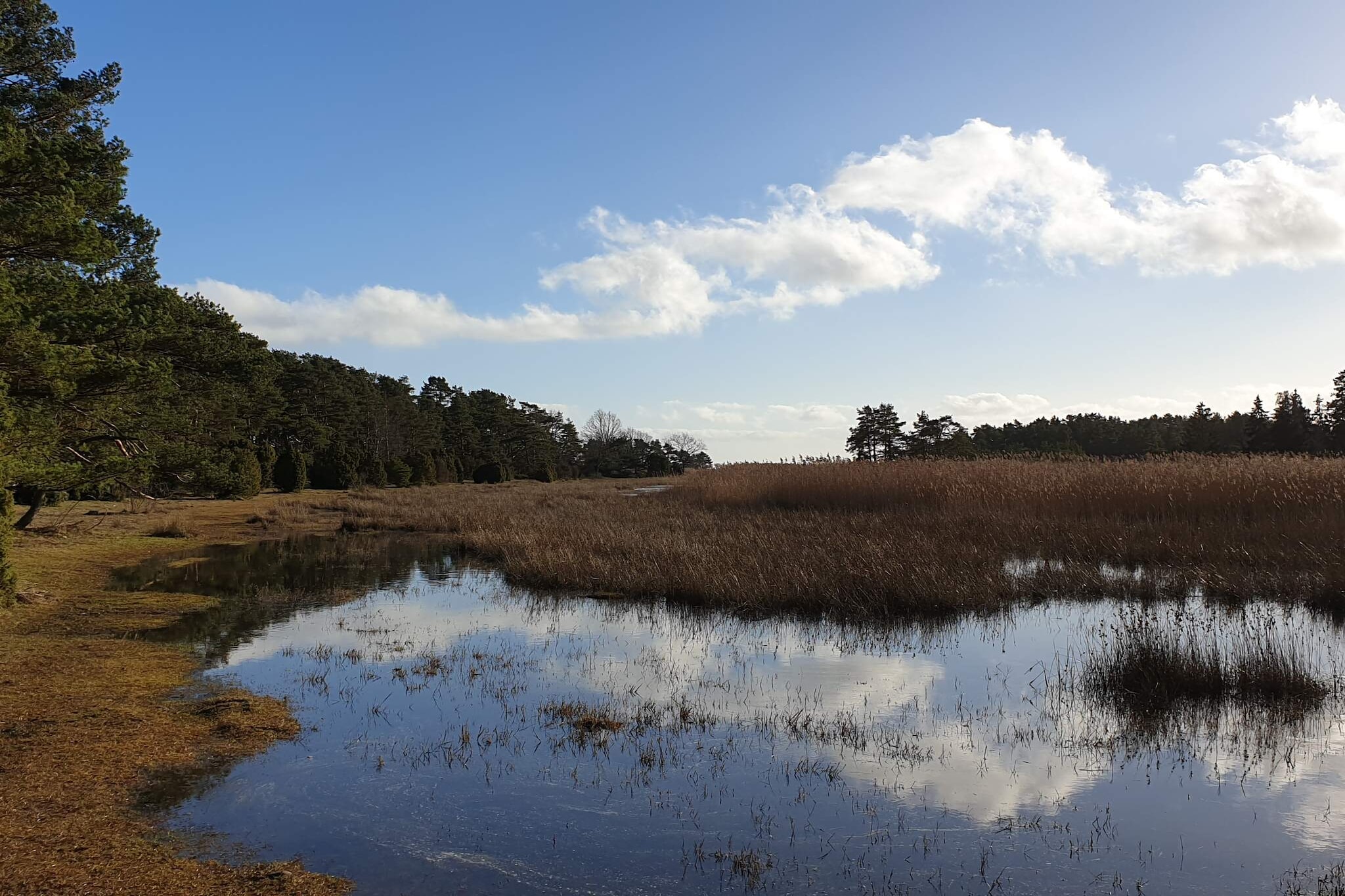 Water View