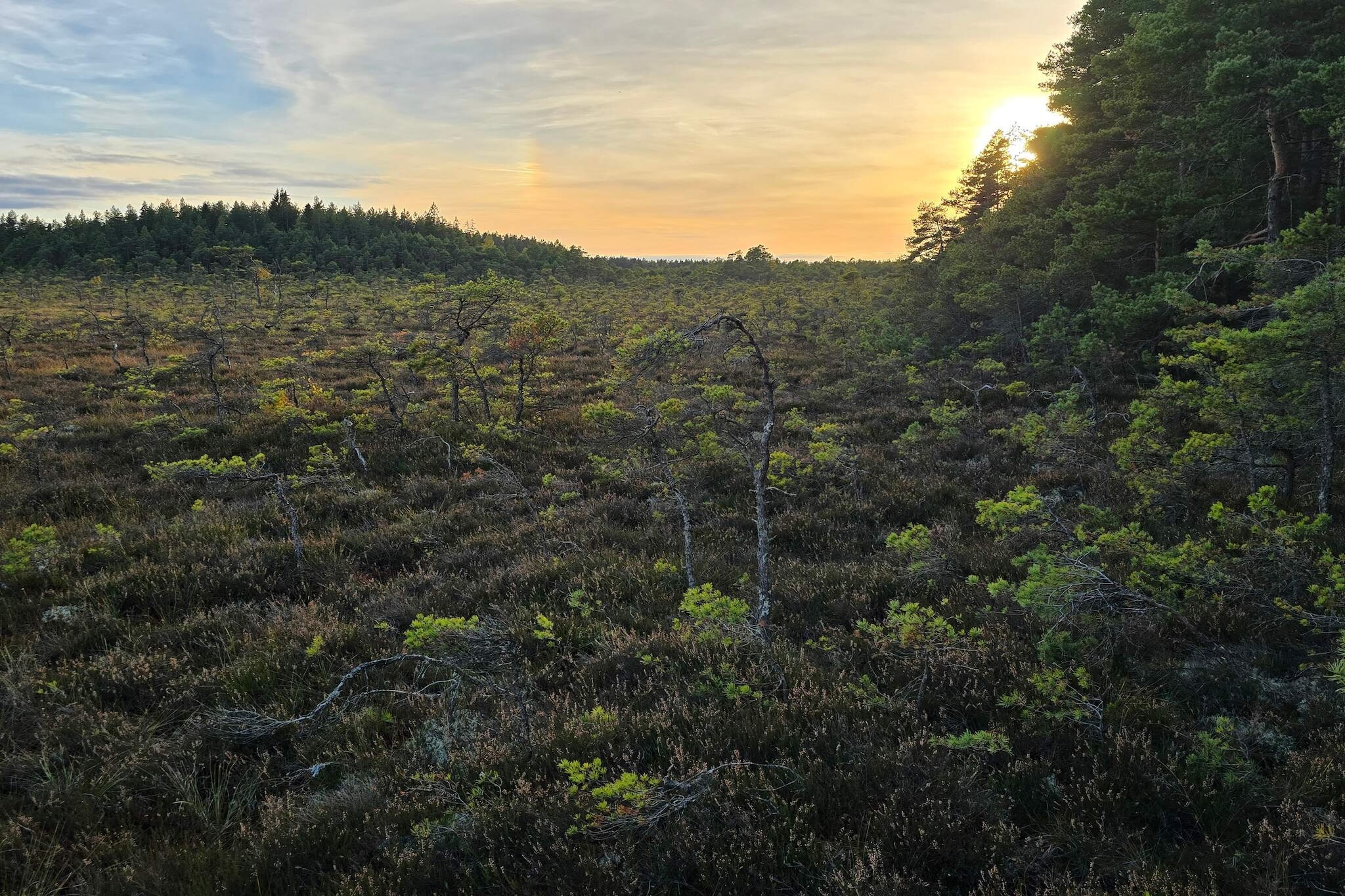 4 person holiday home in Hillerstorp-By Traum