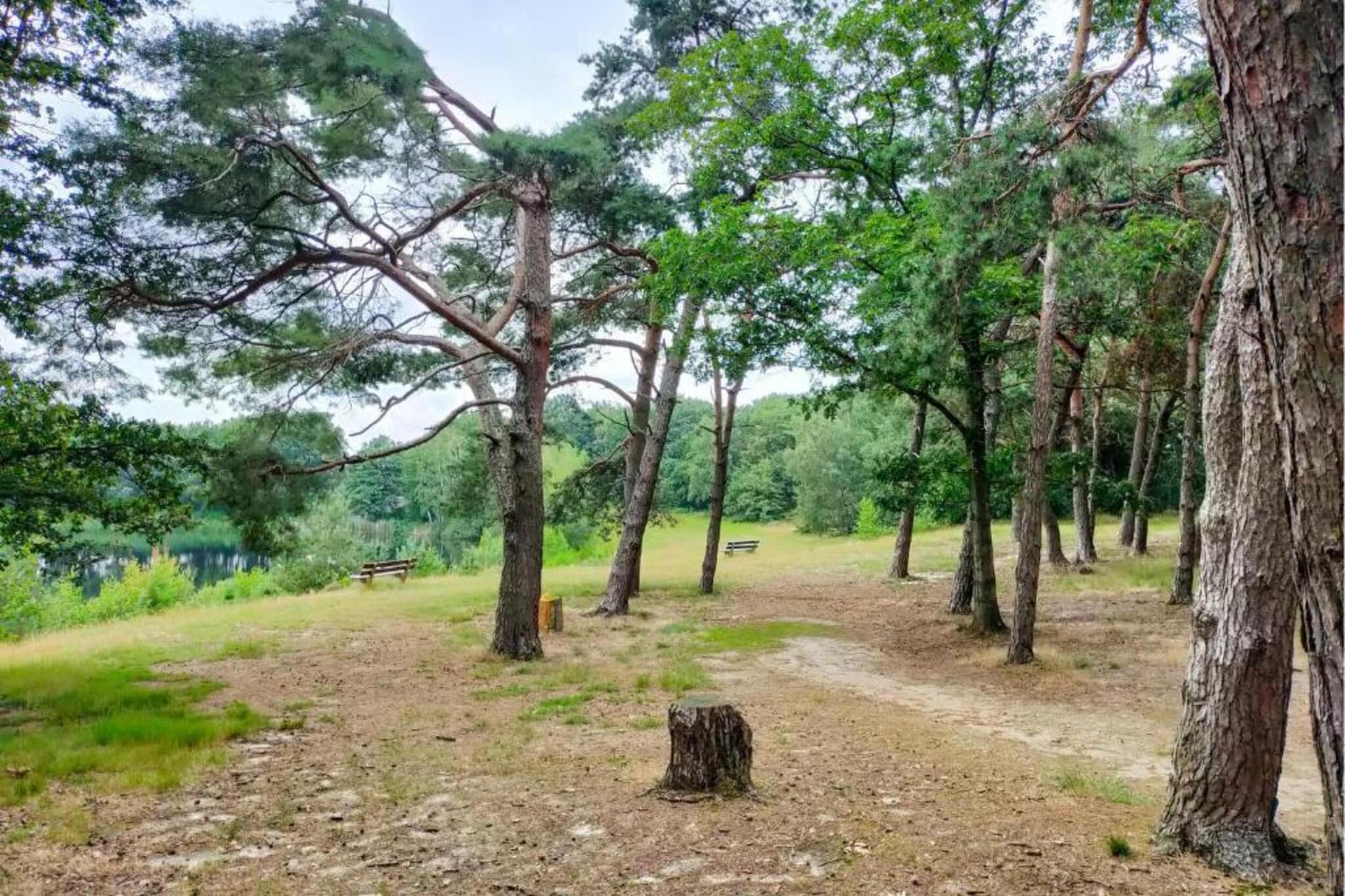 Vakantiepark Leukermeer 8-Gebieden zomer 20km