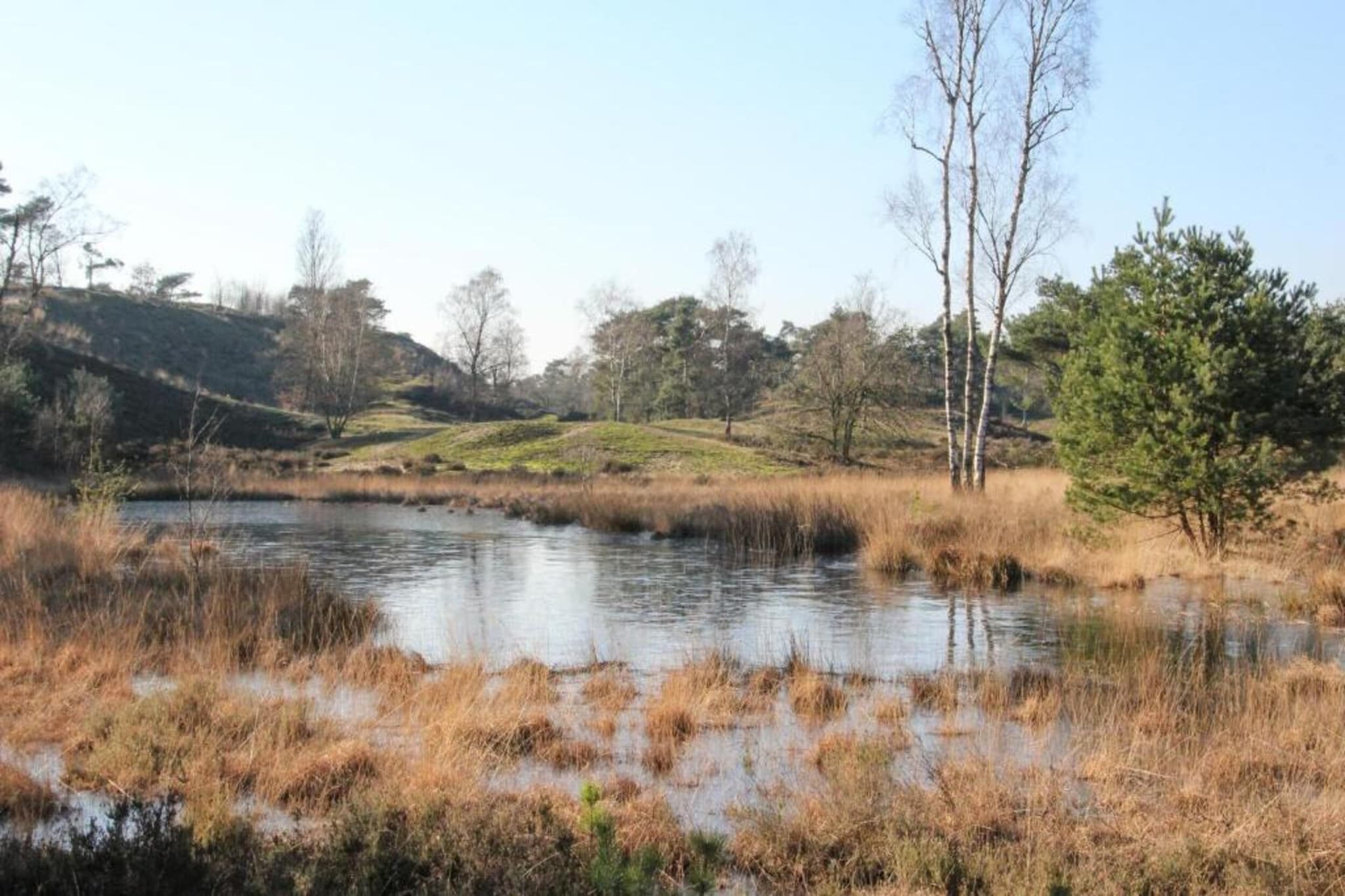 Vakantiepark Leukermeer 10-Gebieden zomer 20km