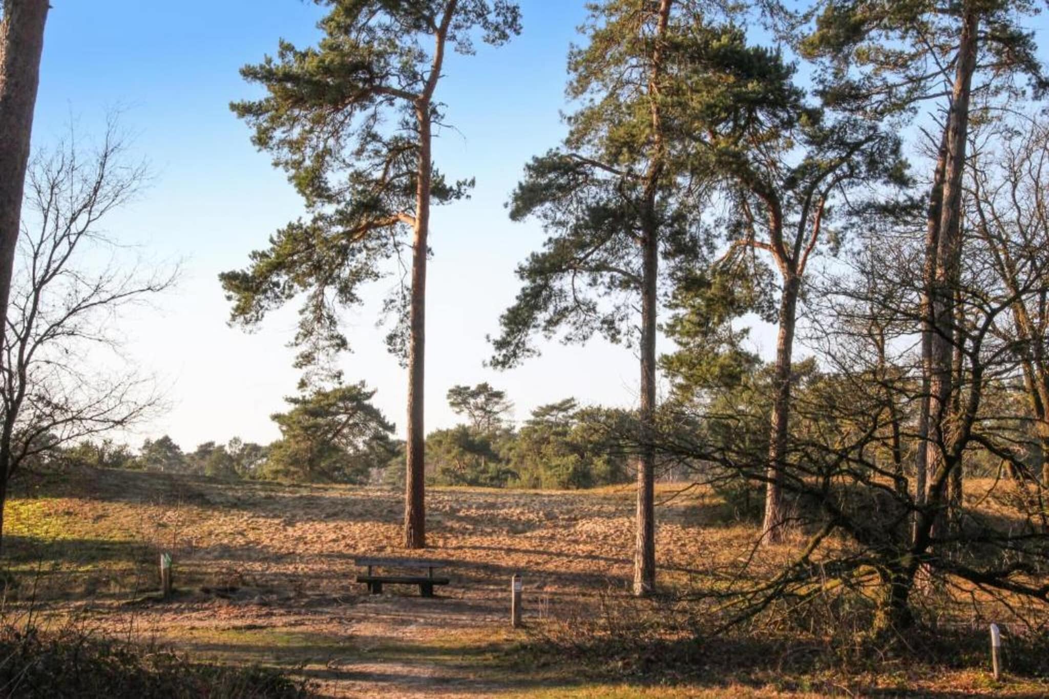 Vakantiepark Leukermeer 10-Gebieden zomer 20km