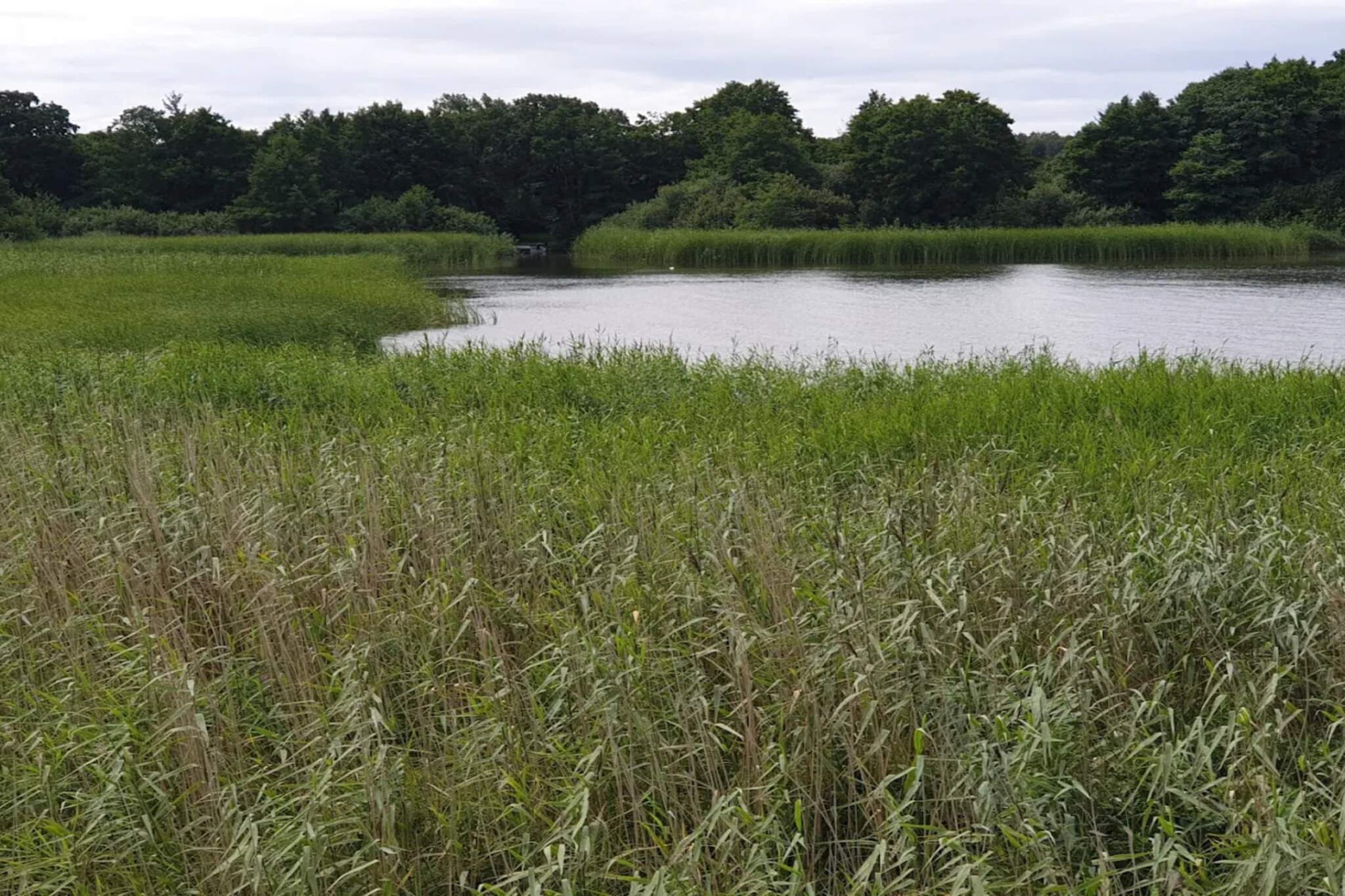6 persoons vakantiehuis in Ebeltoft-Waterzicht