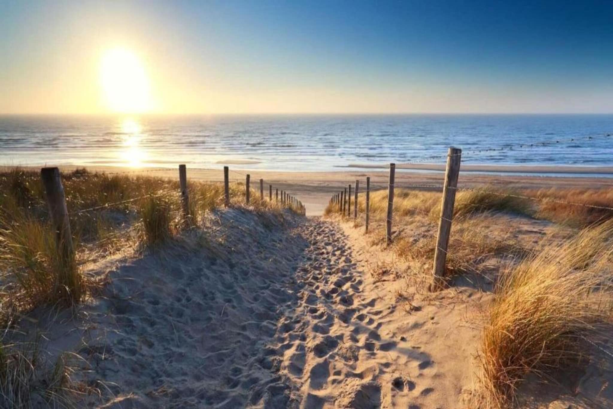 Vakantiepark Duinzicht 9-Areas summer 20km