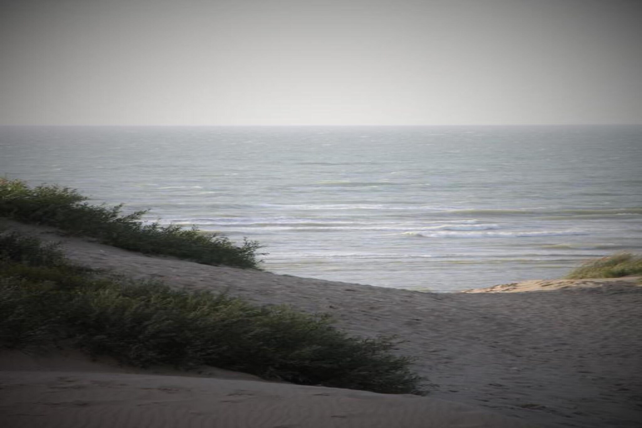Sandpiper B0-Areas summer 5km